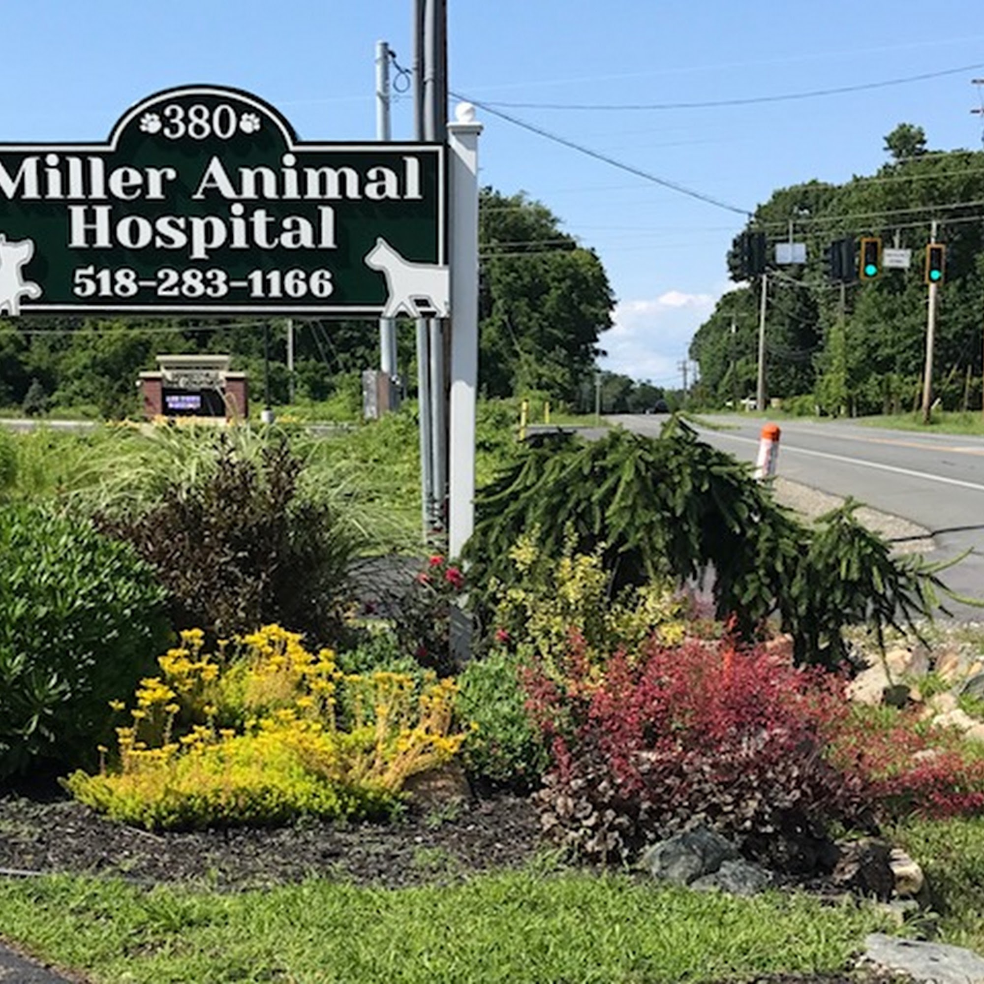 Miller Animal Hospital Troy