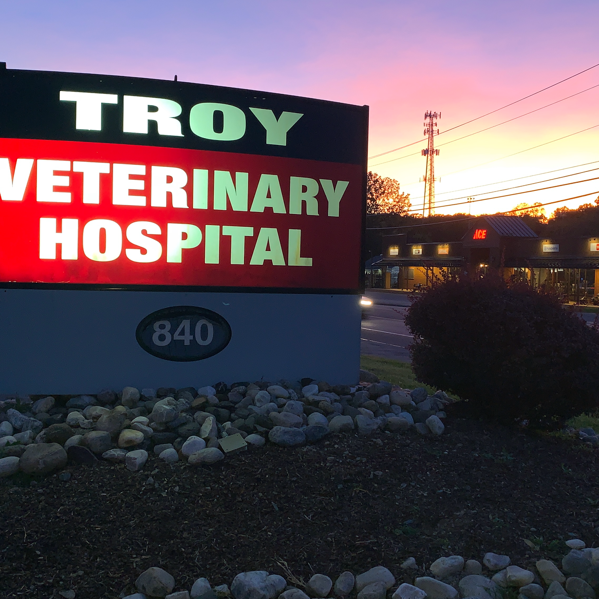 Troy Veterinary Hospital Troy