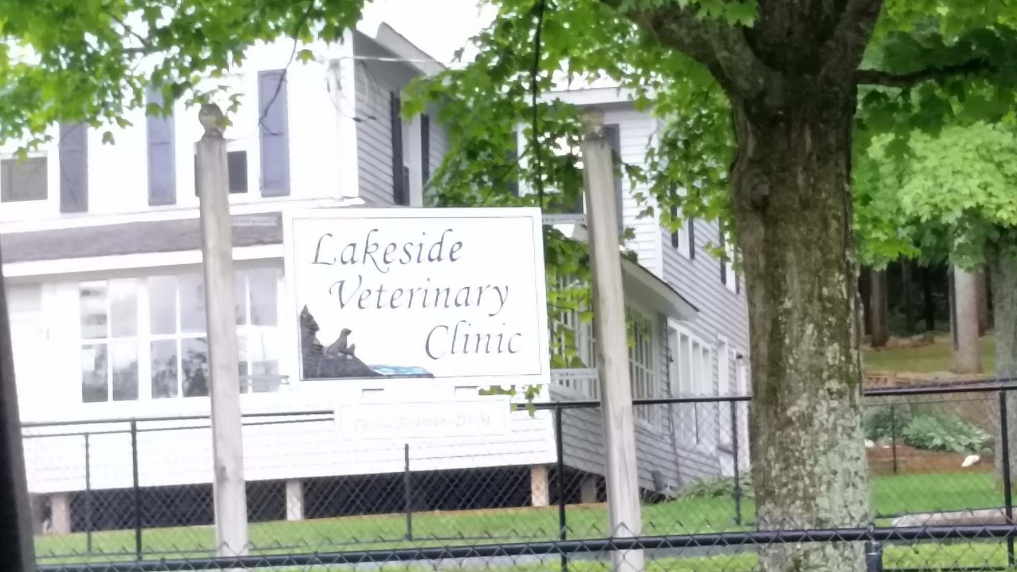 Lakeside Veterinary Clinic Tupper Lake