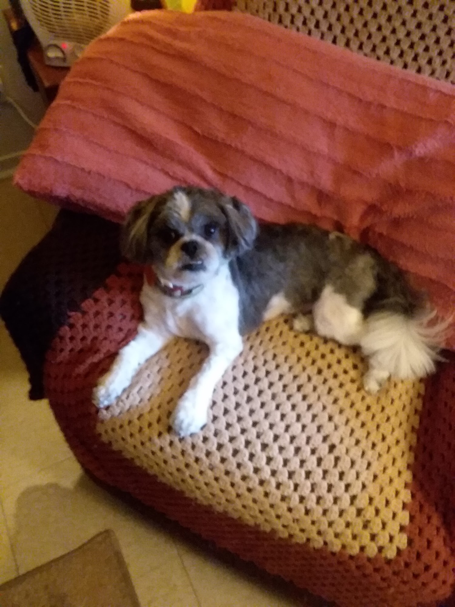 Karen's Groom Room Utica