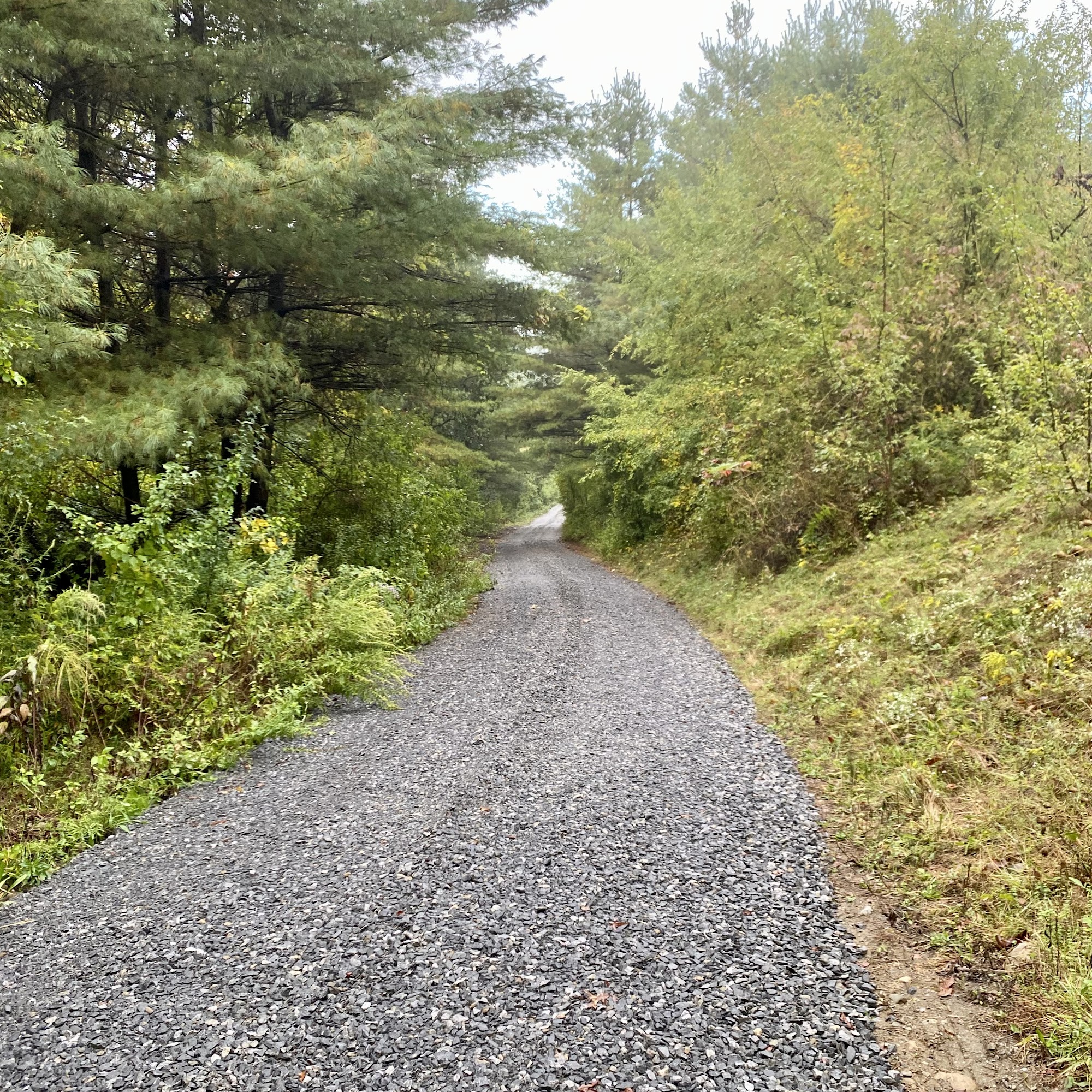 Adam Dreher Contracting