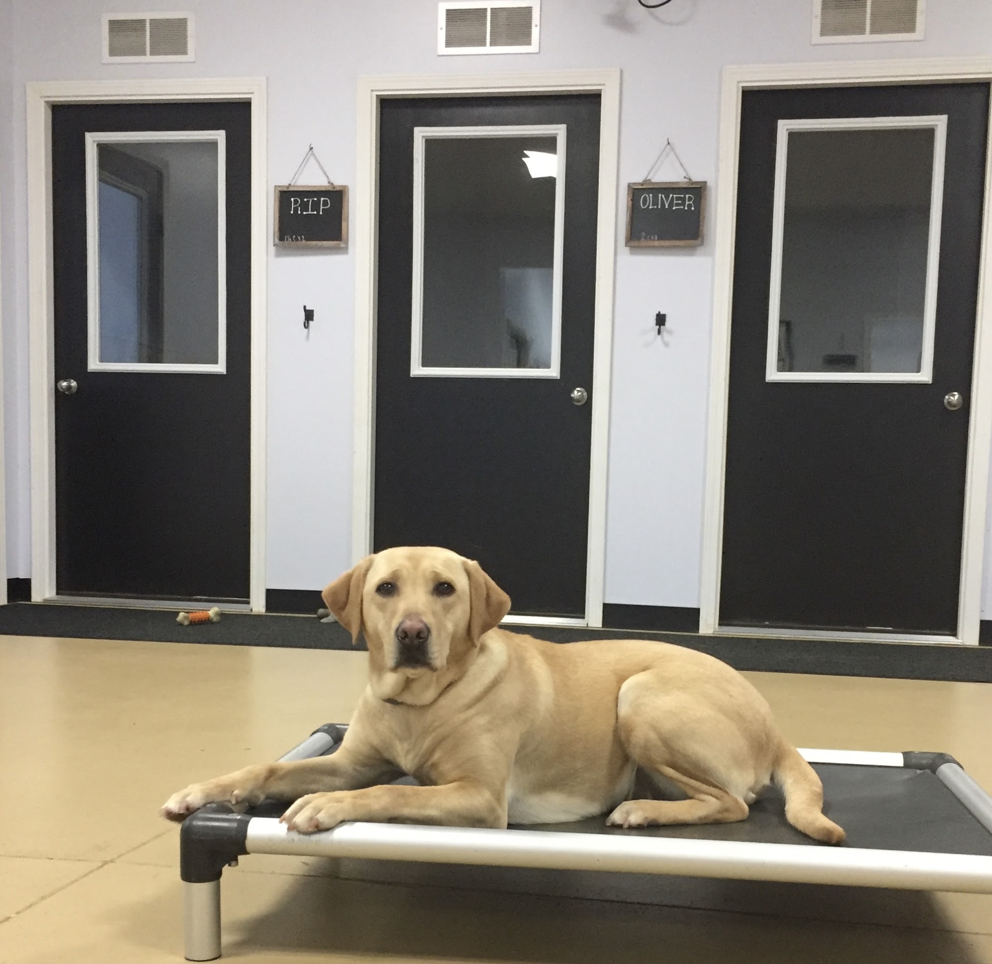 Dogworks Kennel Victor