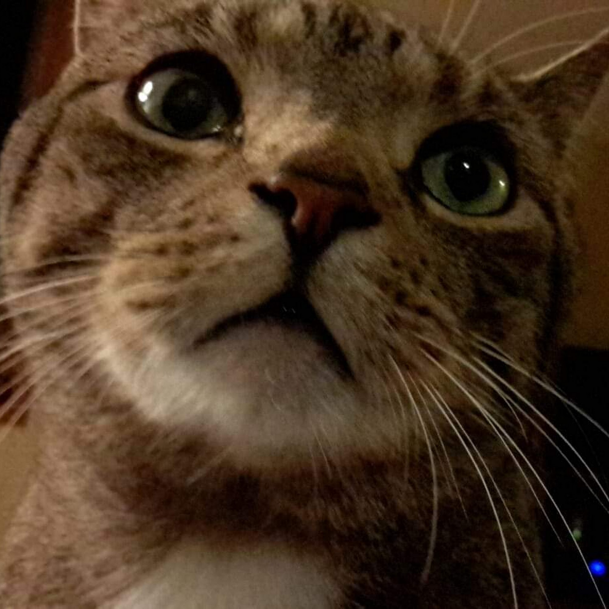 Walden Animal Clinic Walden