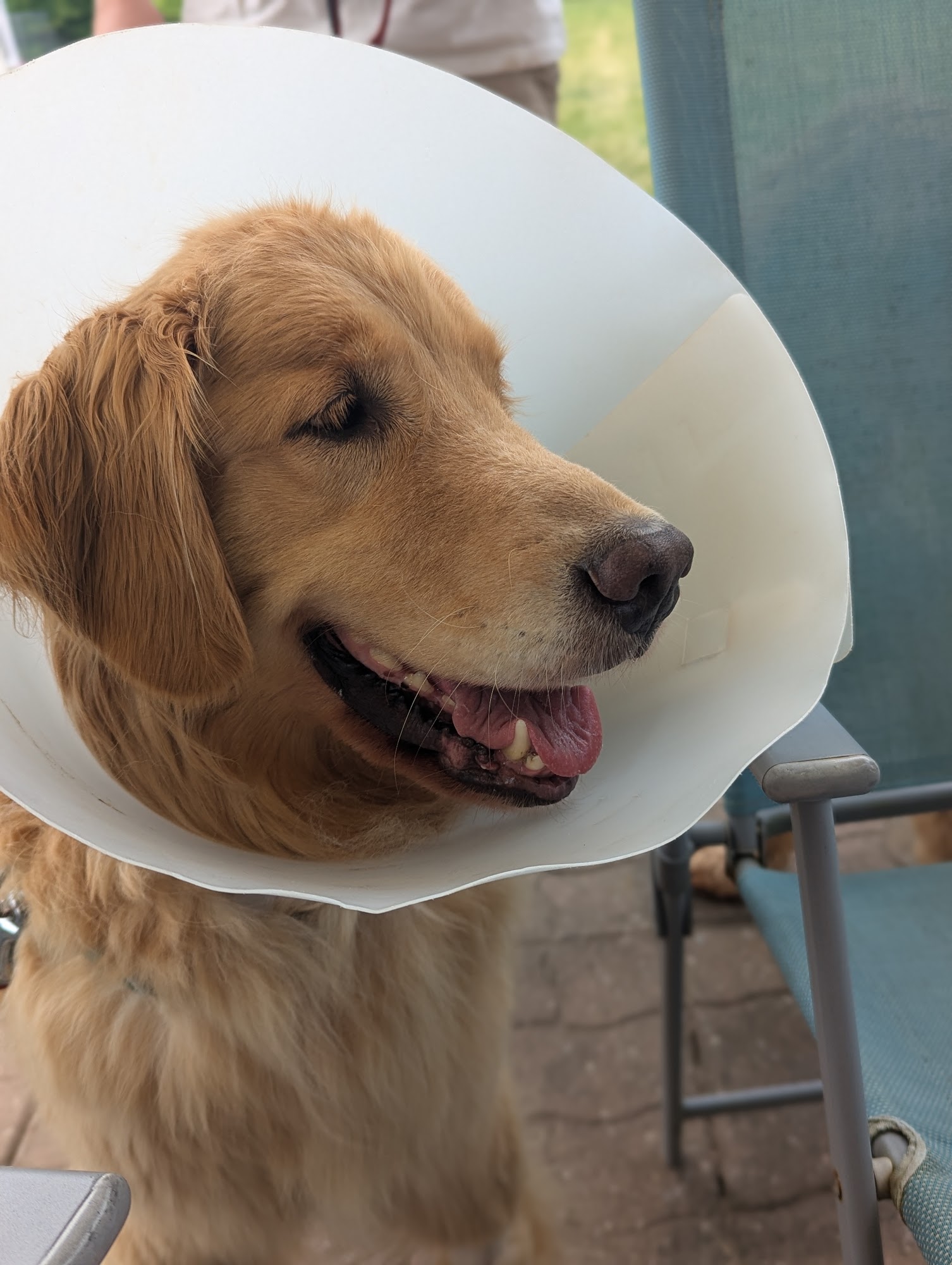 Walworth Animal Hospital Walworth