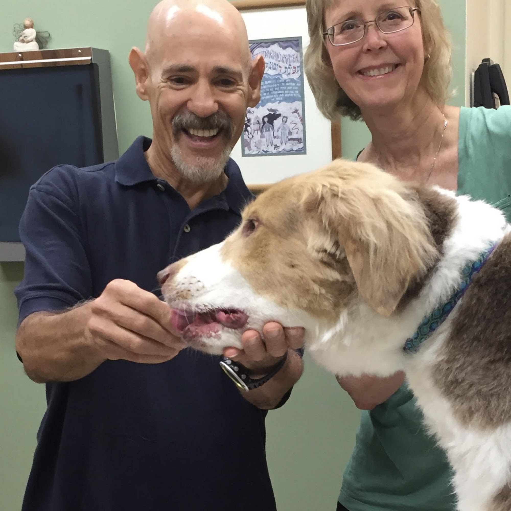 Airport Veterinary Center Wappingers Falls