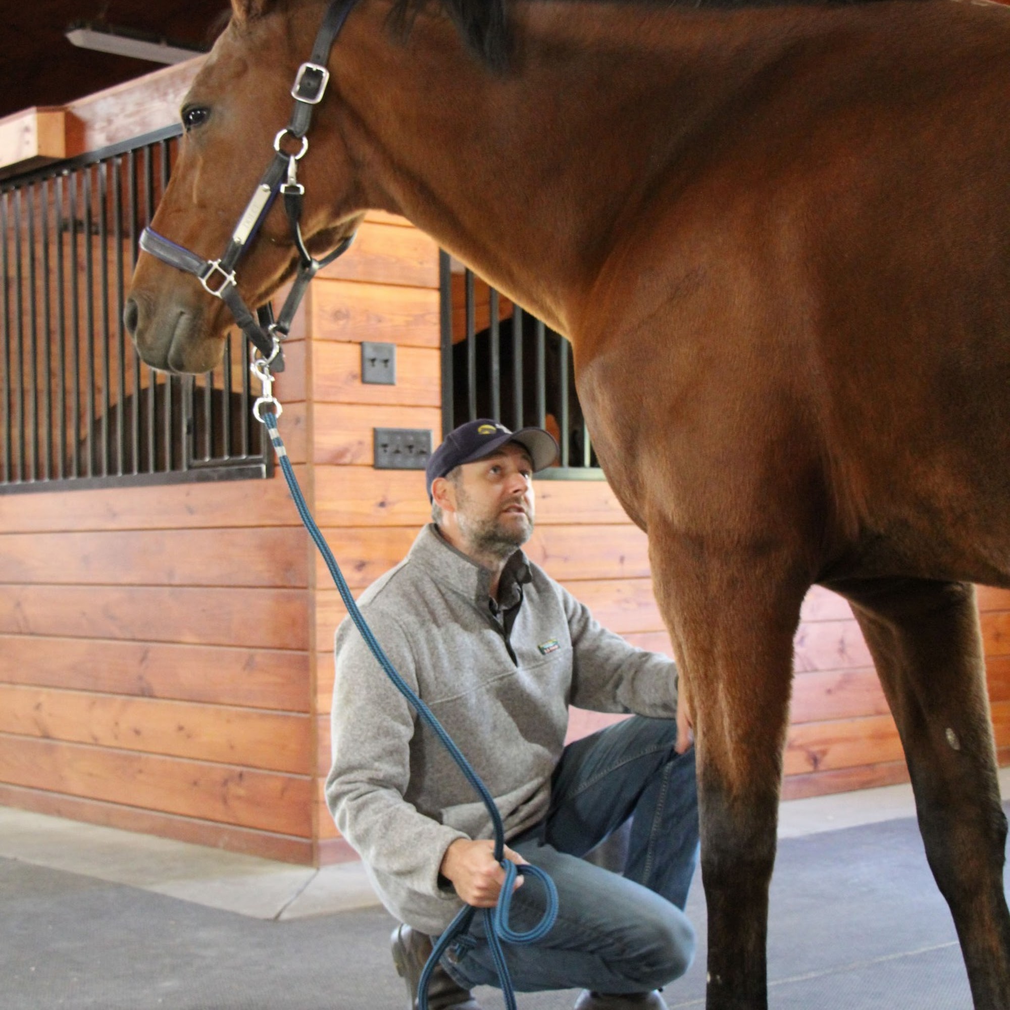 Advanced Equine of the Hudson Valley Wappingers Falls