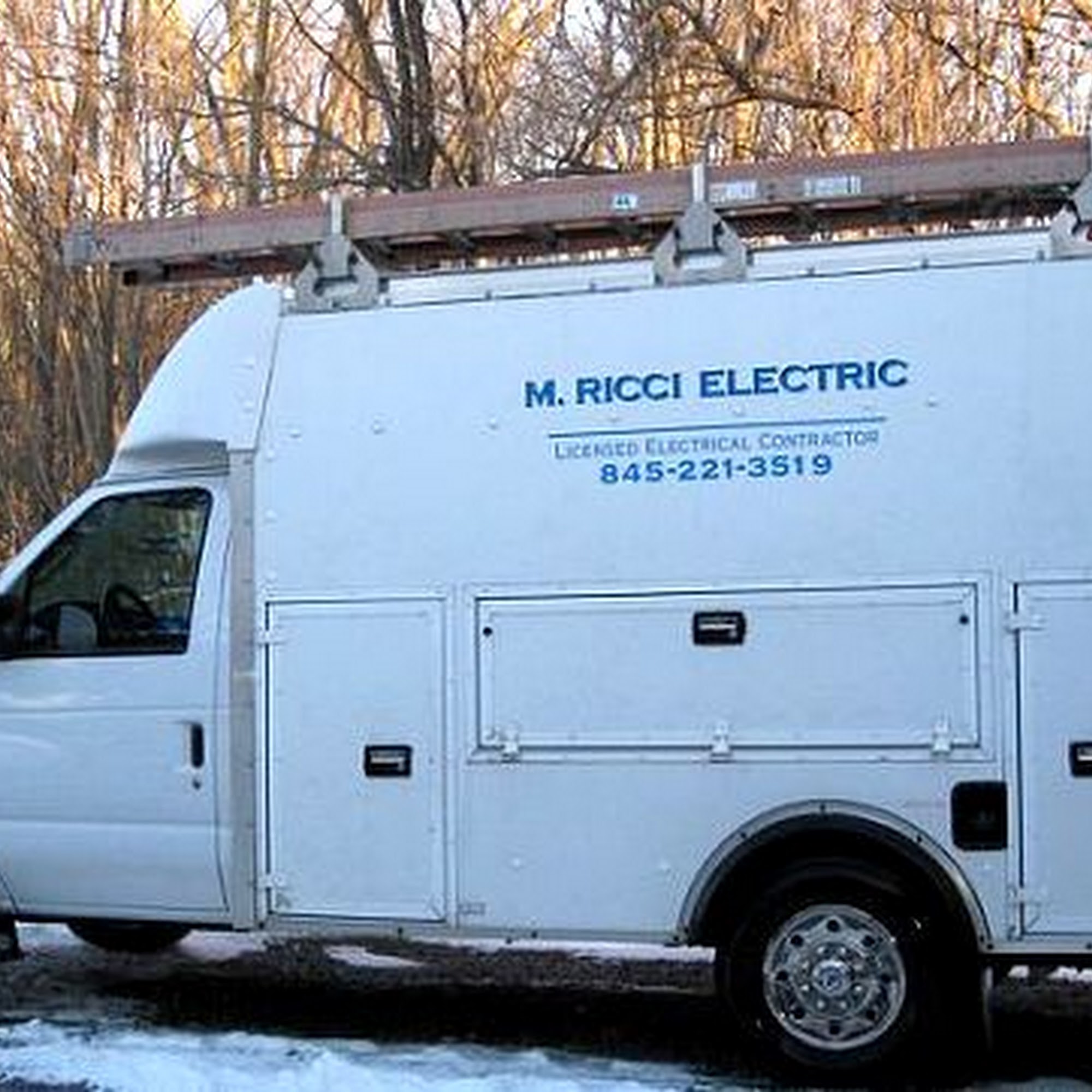 M Ricci Electric