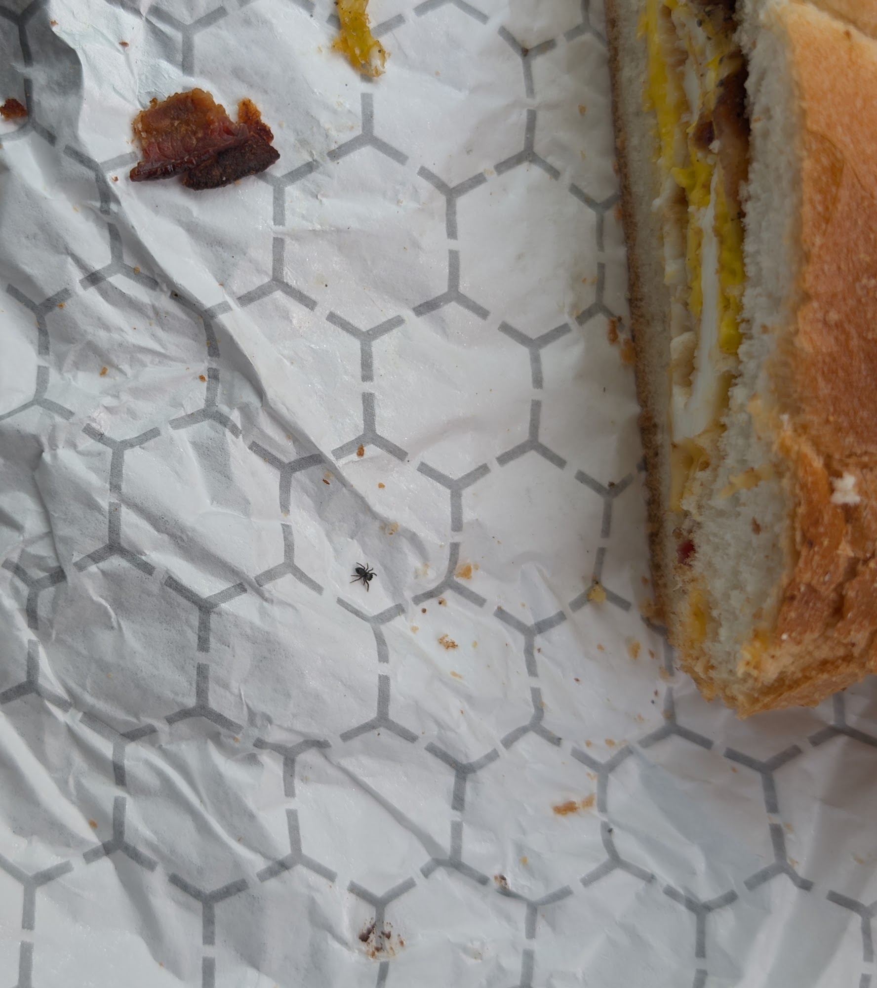 Cameron’s Deli