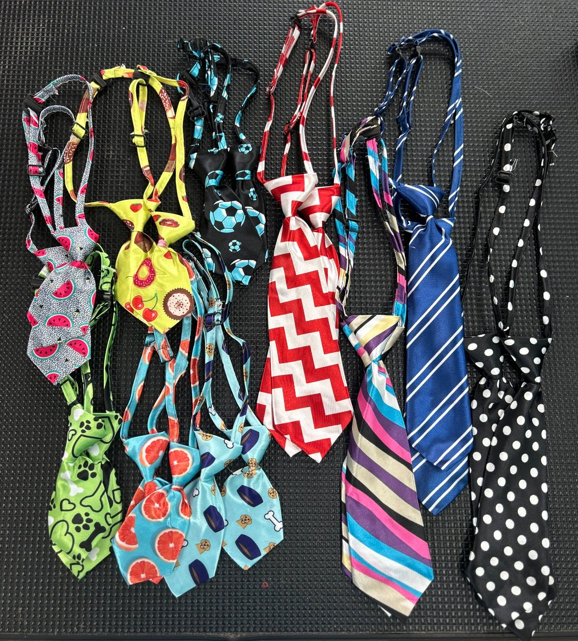 Coat Tails Pet Grooming Warwick