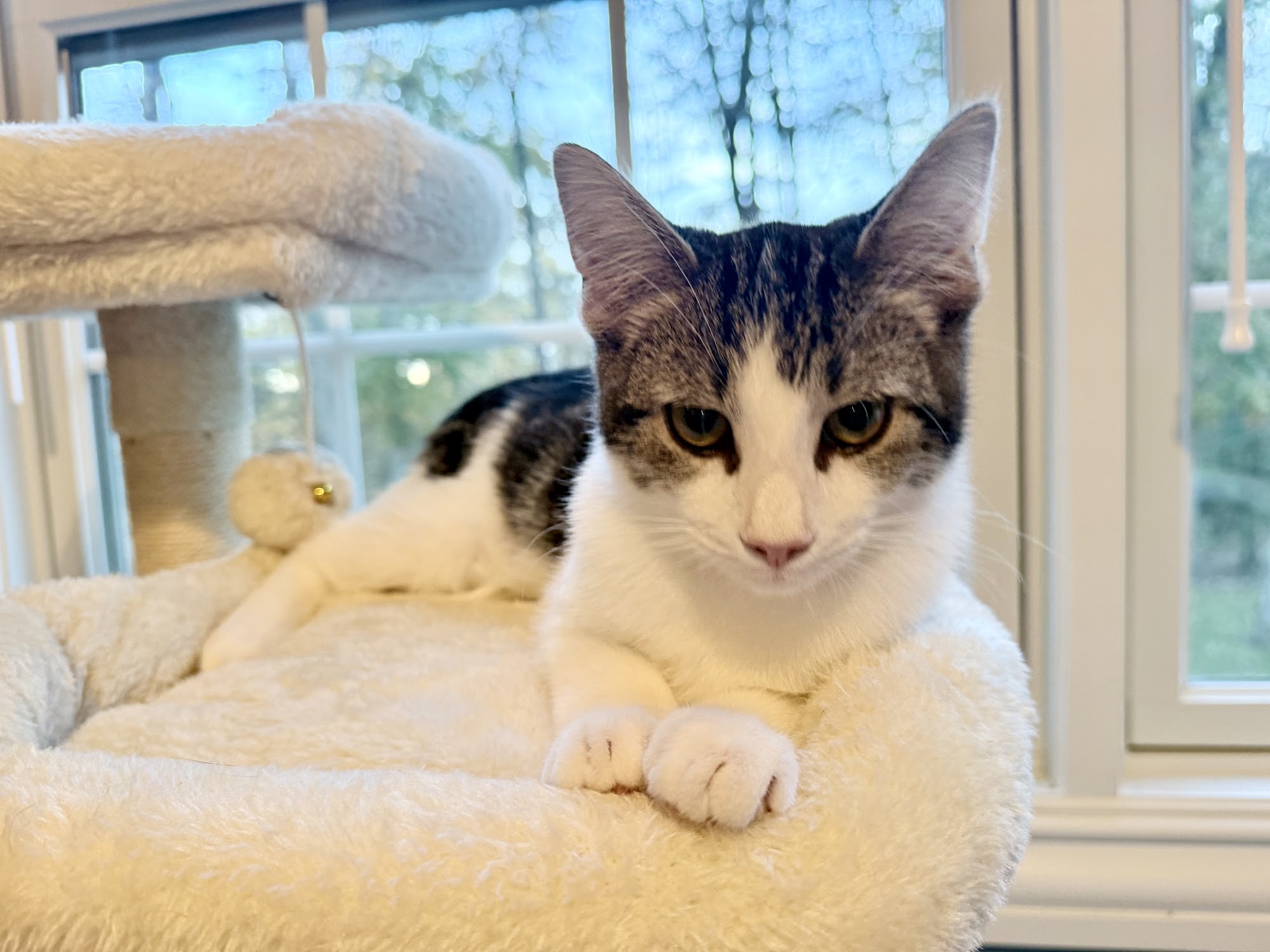 Warwick Valley Humane Society Warwick