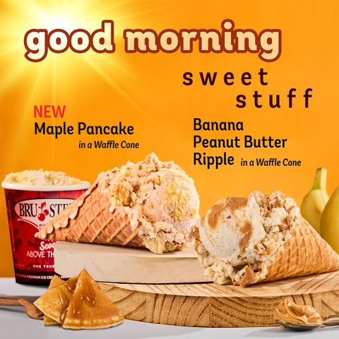 Bruster's Real Ice Cream Webster