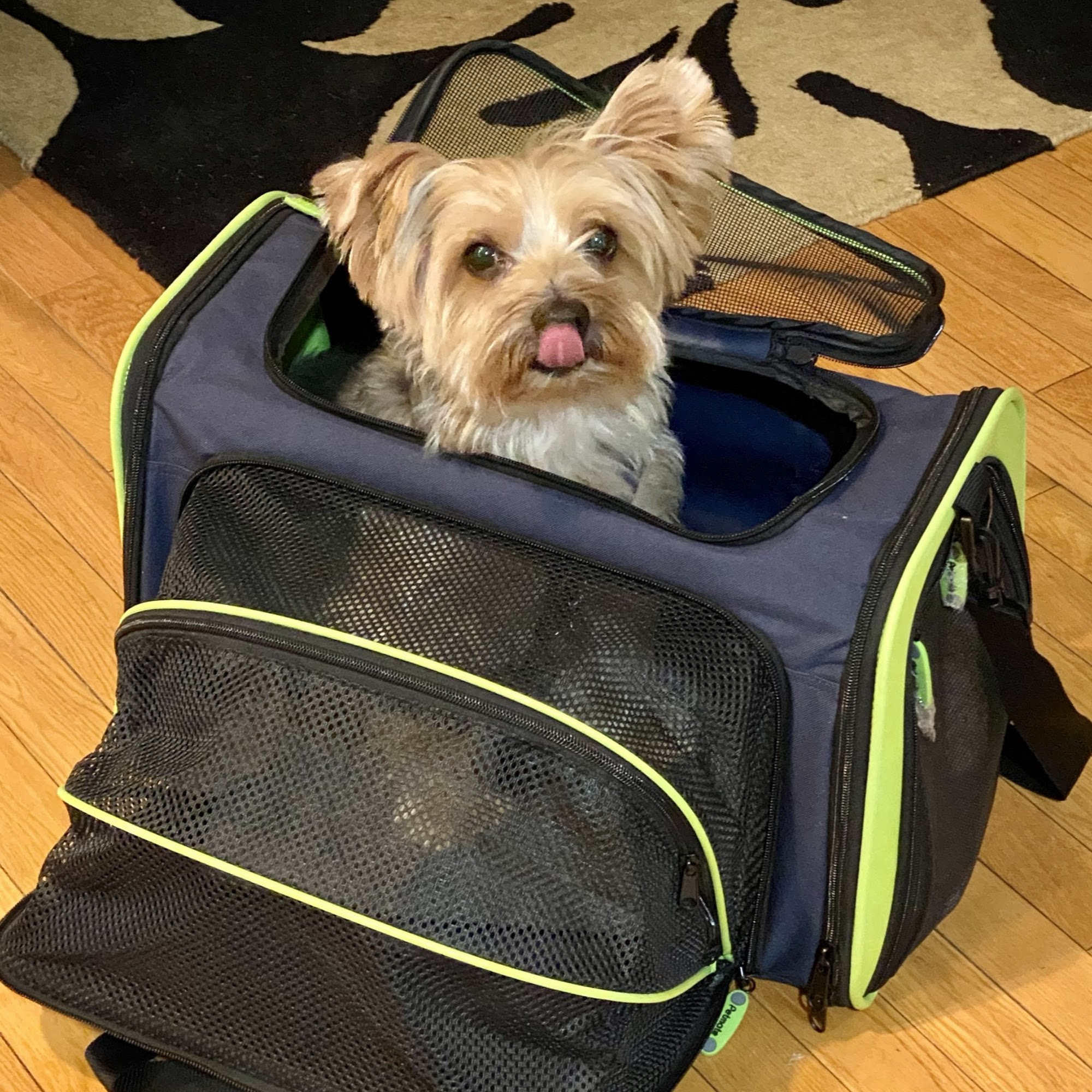 Ultimutt Grooming Webster