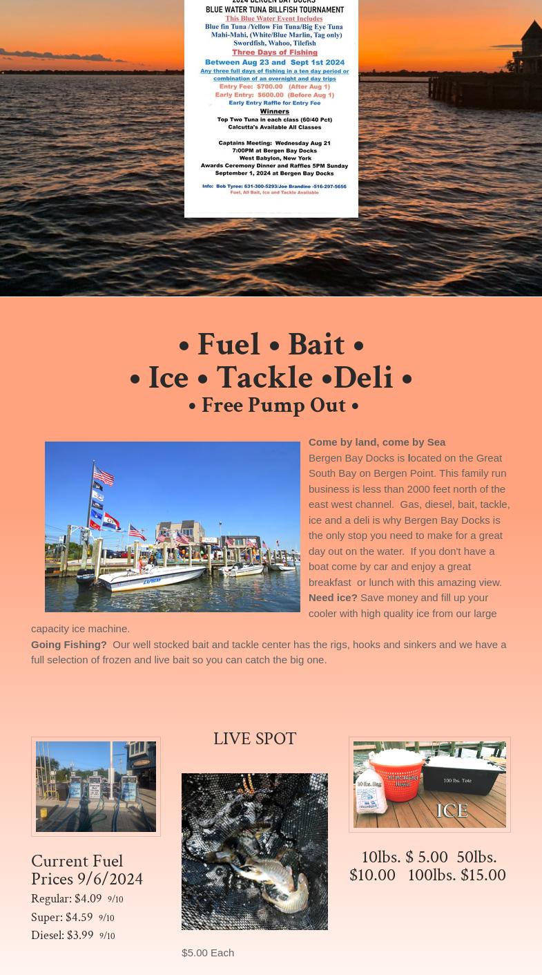 Bergen Bay Docks Menu