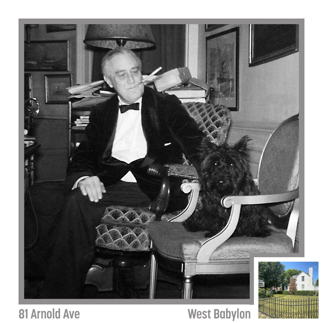 West Babylon Animal Hospital West Babylon