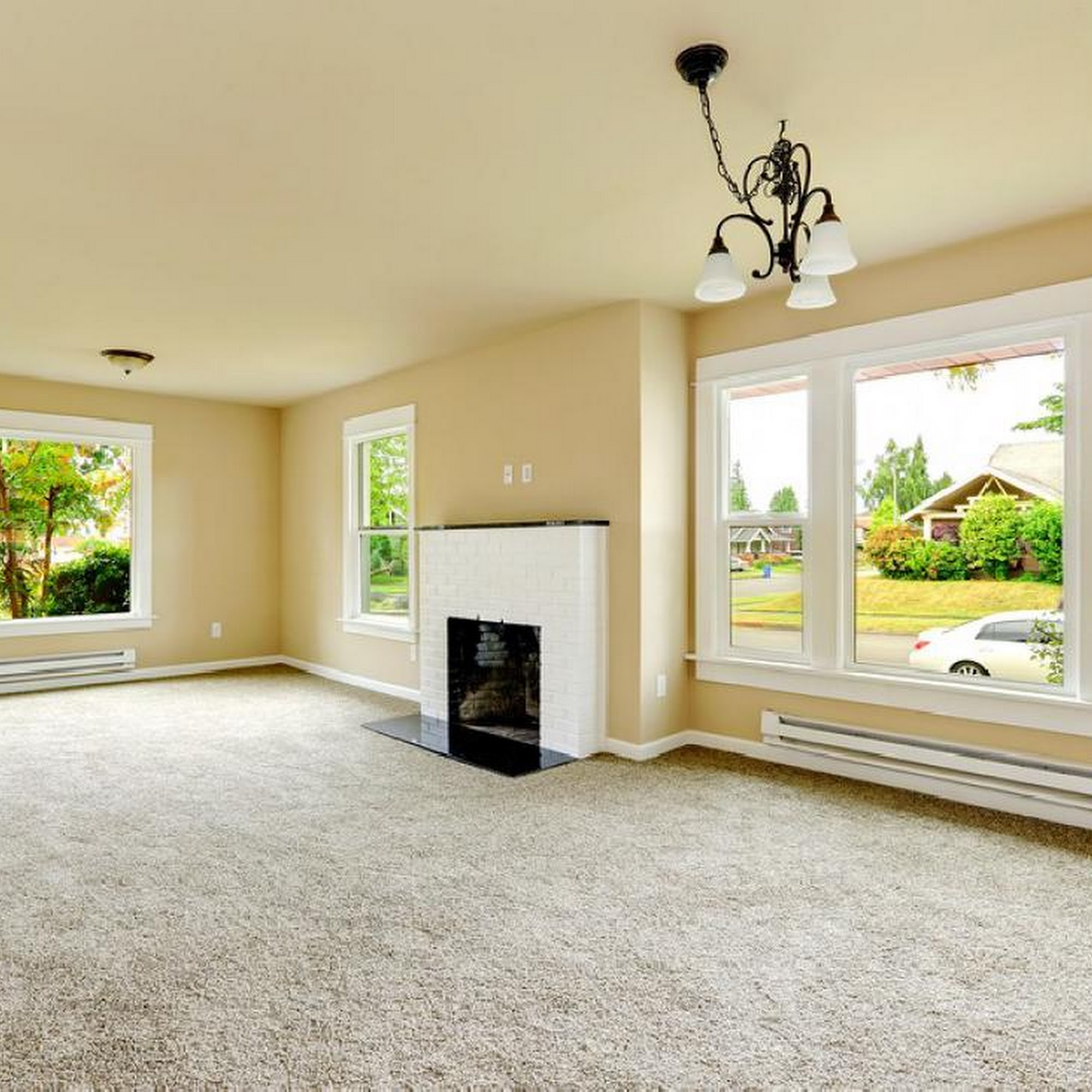 Steam & Carpet Cleaning Masters