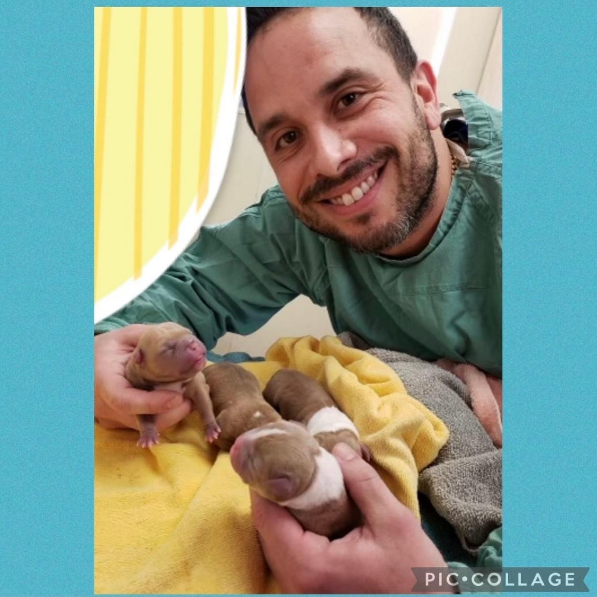Suffolk Animal Hospital NY West Islip