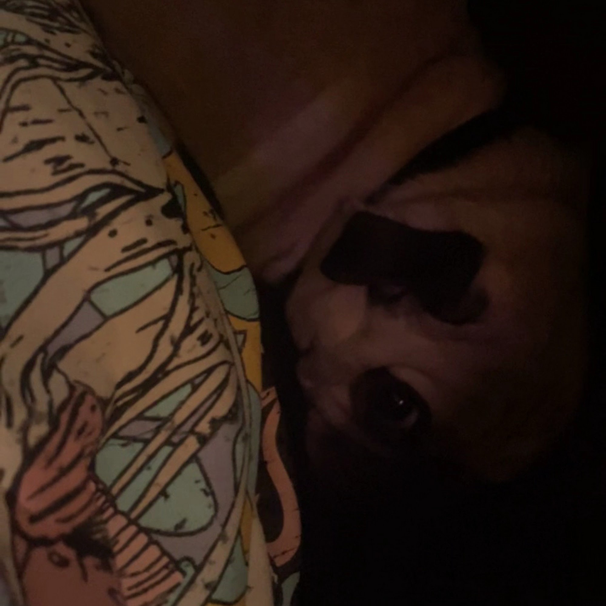 Southtowns Animal Hospital West Seneca