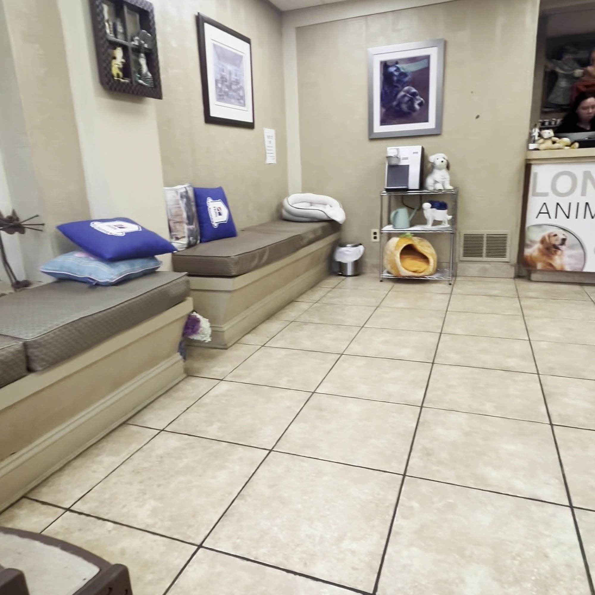 Long Island Animal Hospital Westbury