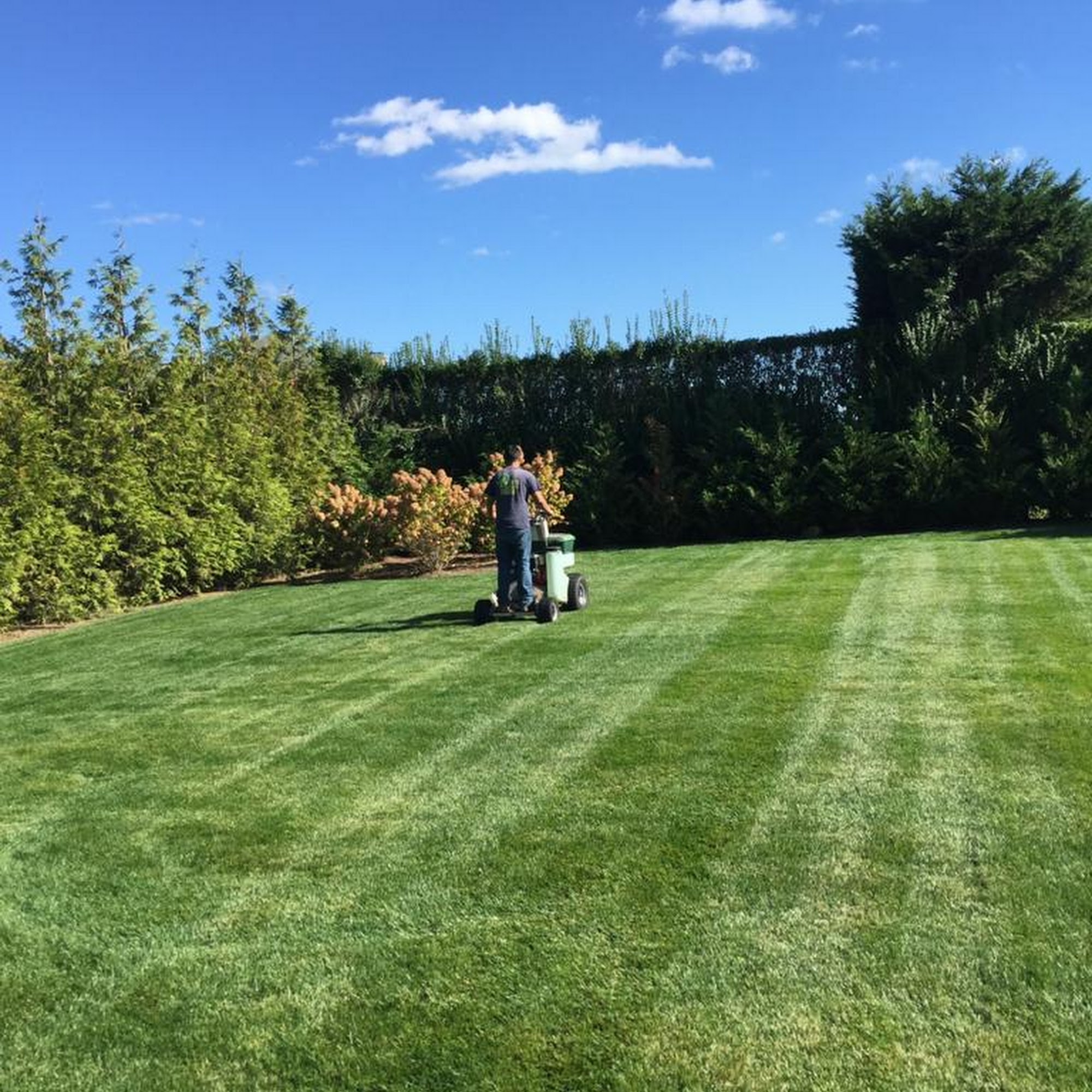 Roque Landscaping Corp