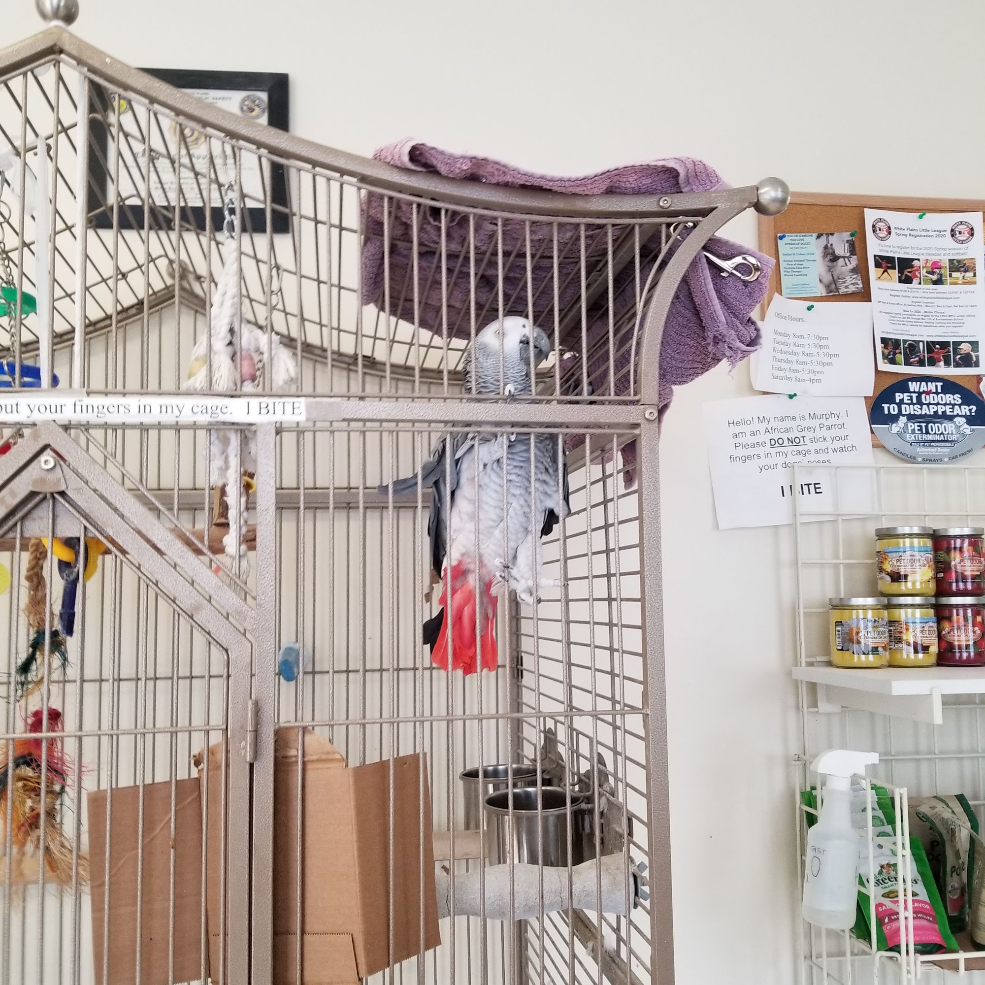 Animal Hospital of White Plains White Plains