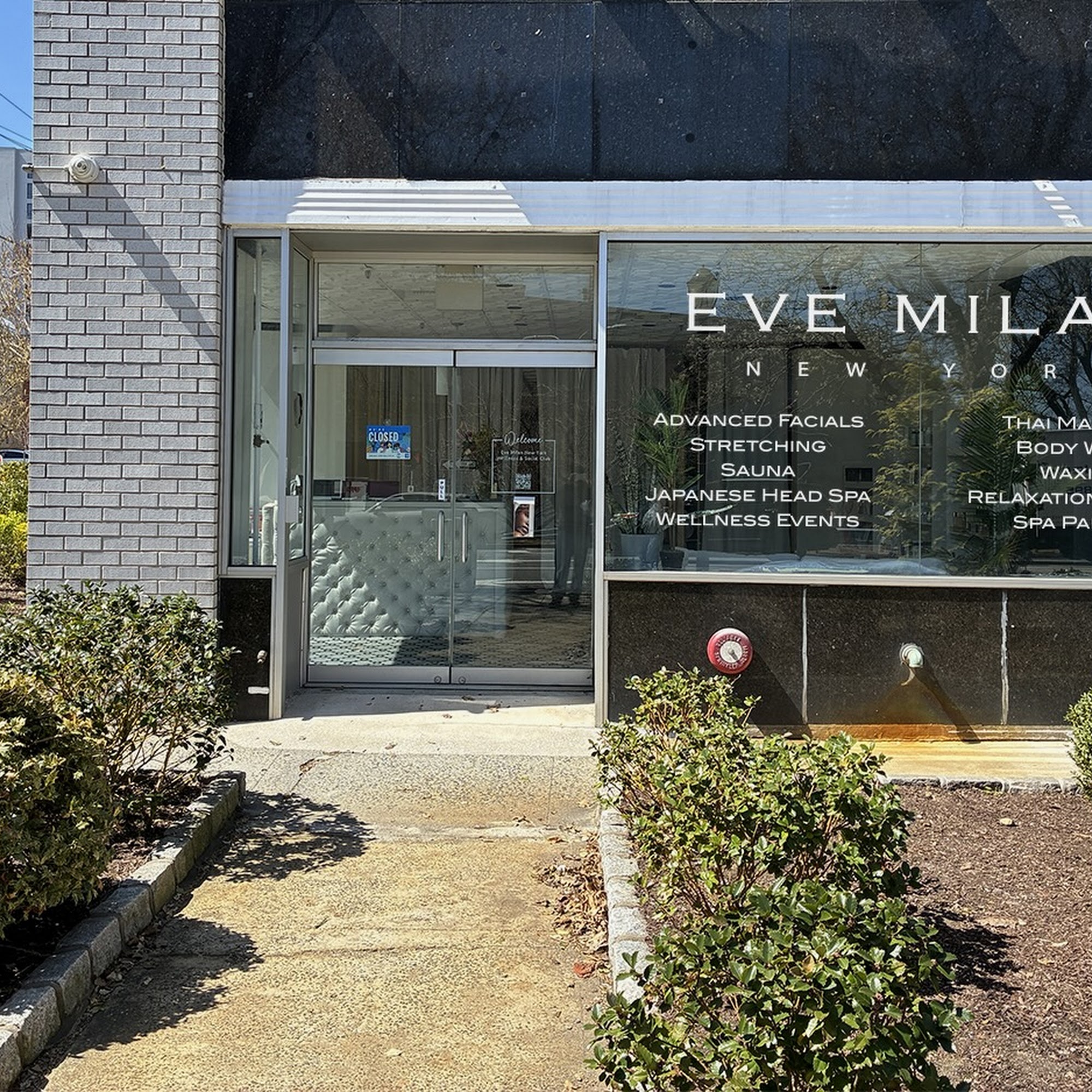 Eve Milan New York