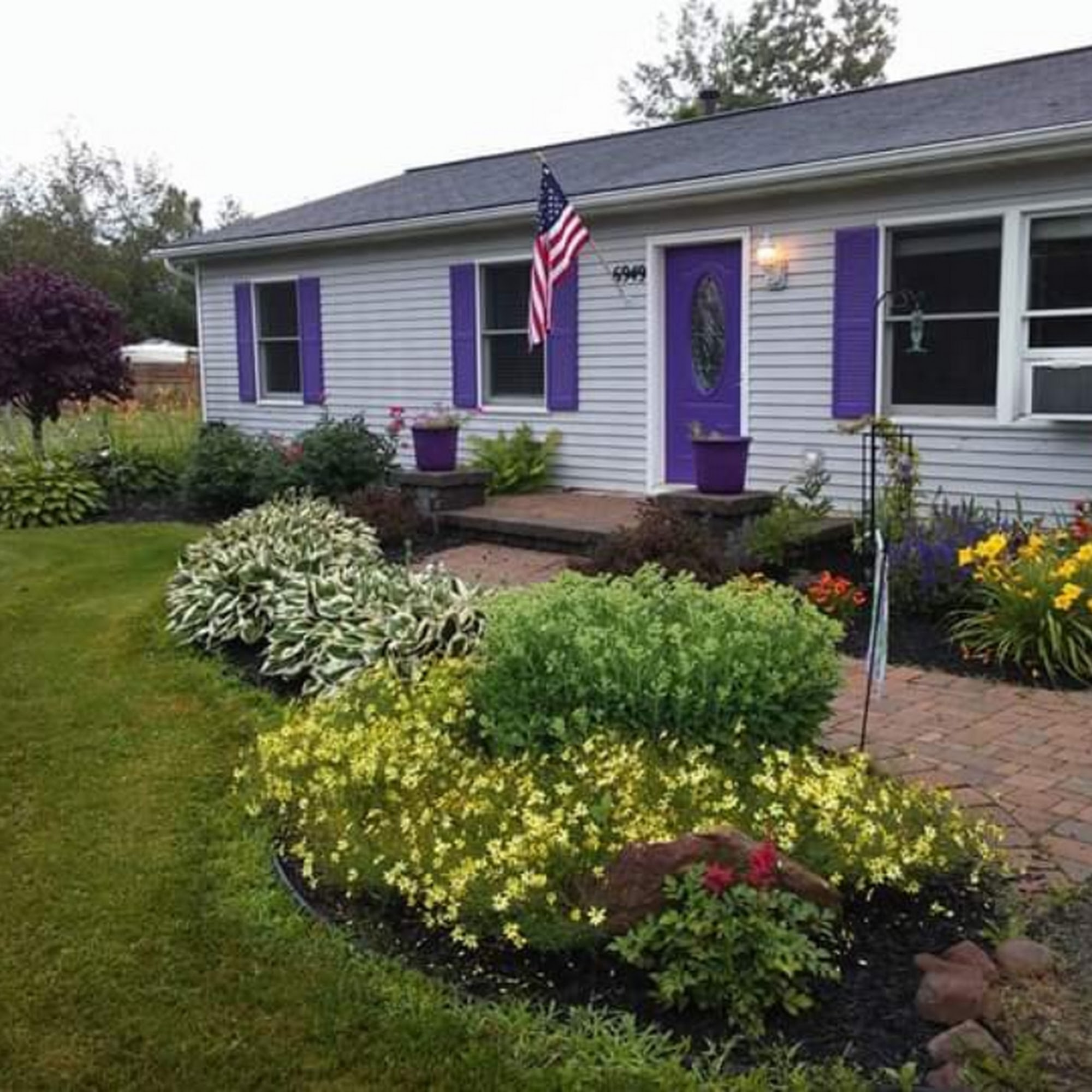 Kristen's Dog Grooming Williamson