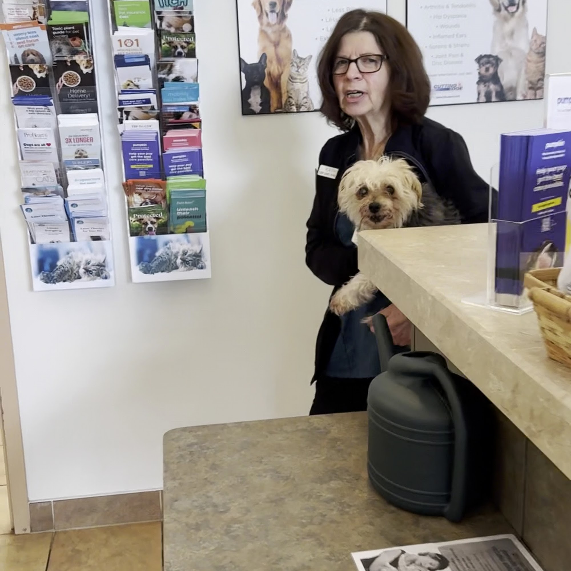 Harris Hill Animal Hospital Williamsville