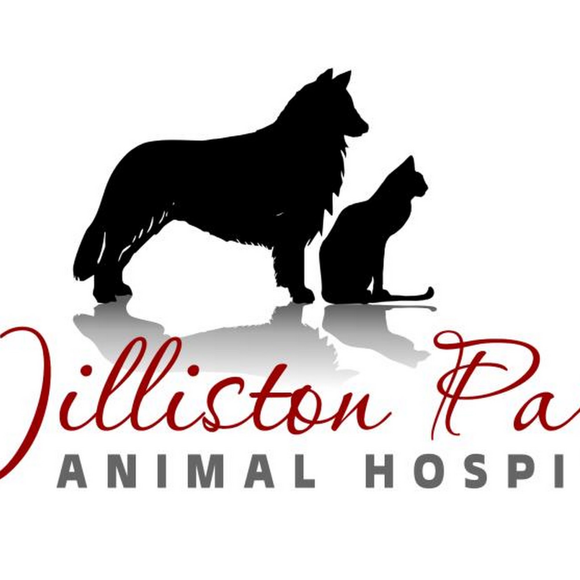 Williston Park Animal Hospital Williston Park