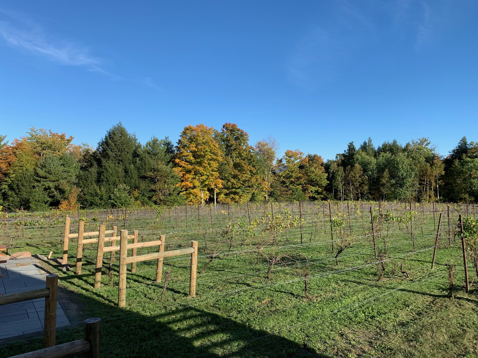 The Vineyard At Windham Menu