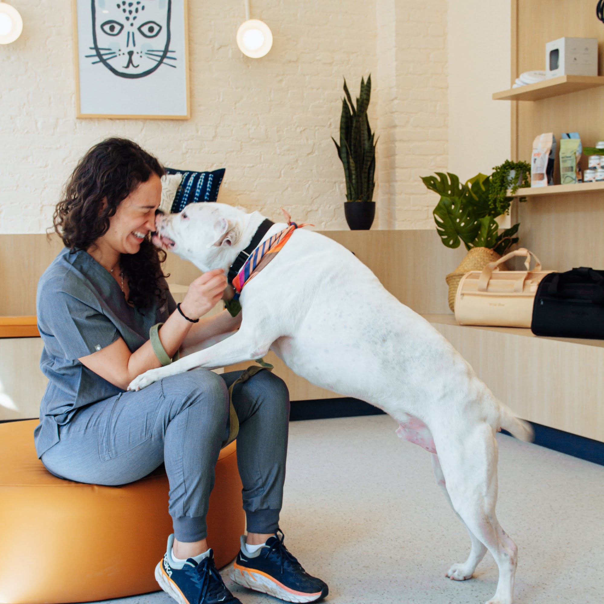 Bond Vet - Woodbury Woodbury