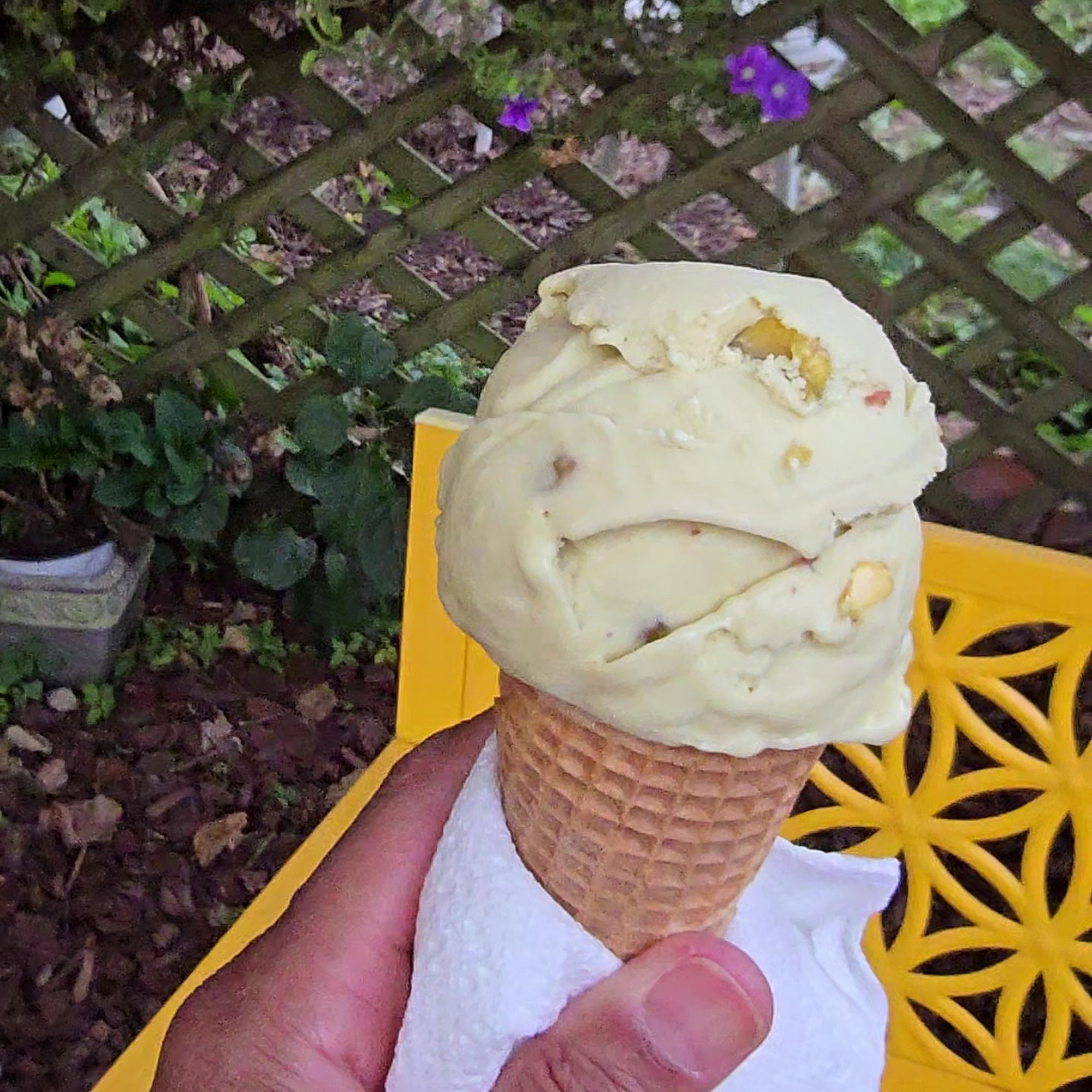 Sweet Dreams Organic Ice Cream Woodstock