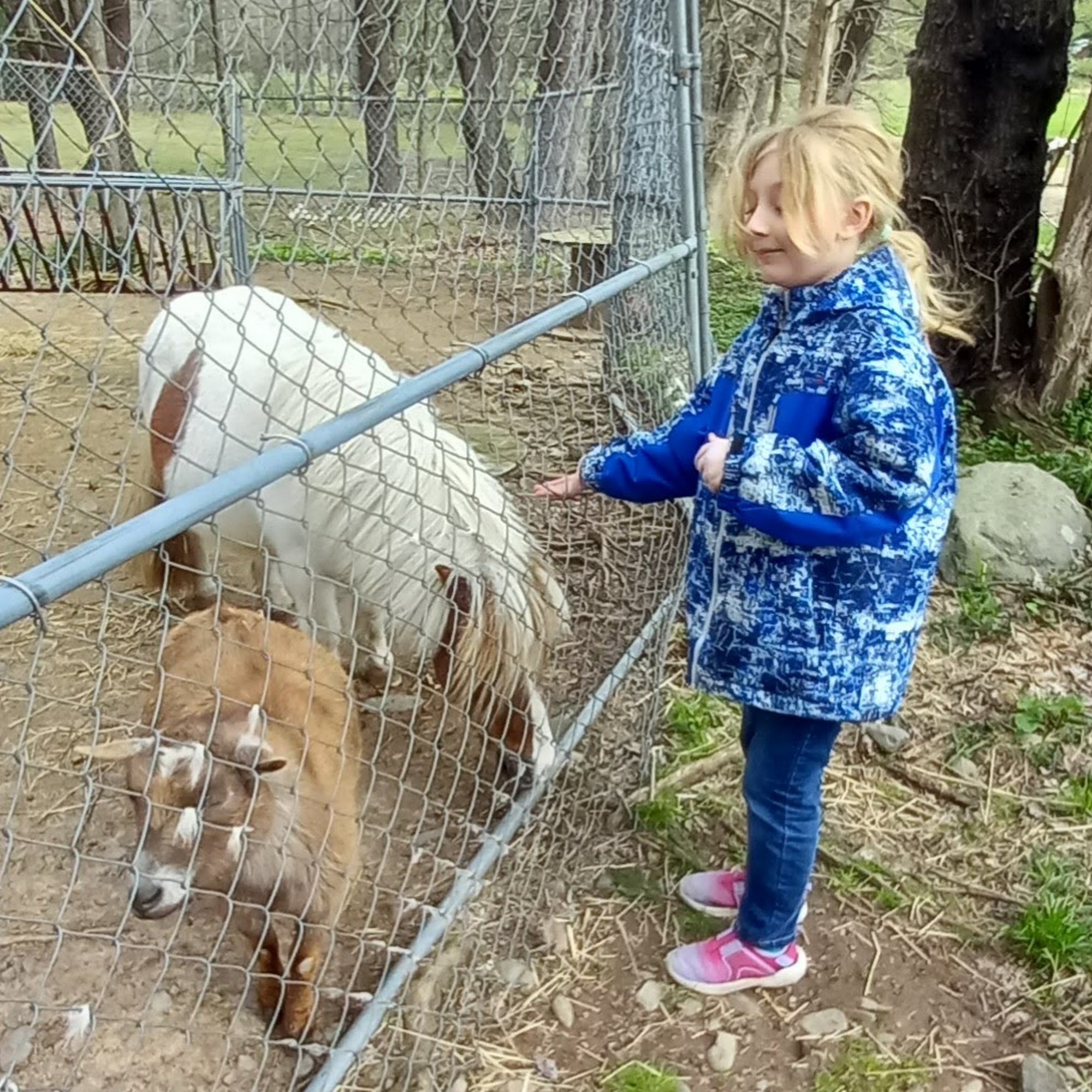 Green Heron Farm Woodstock