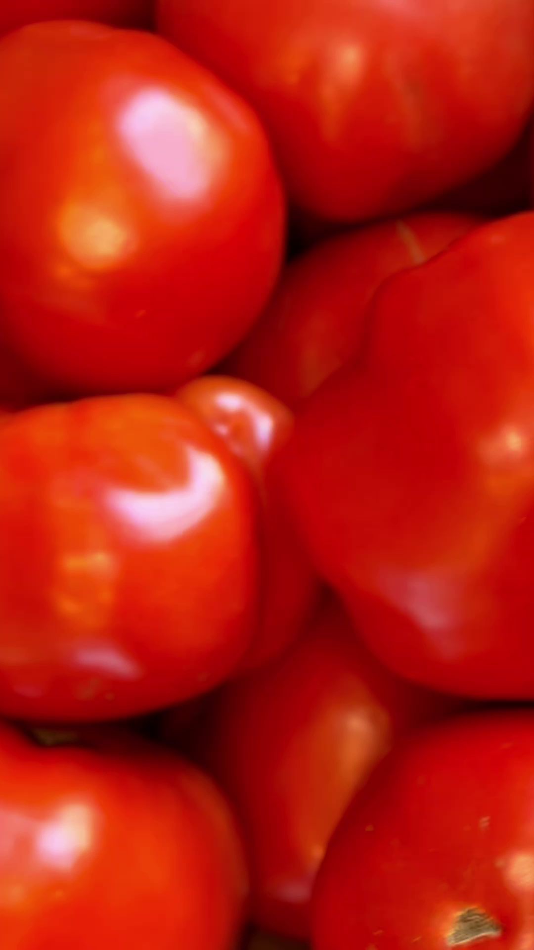 Sofra Tropojane Menu