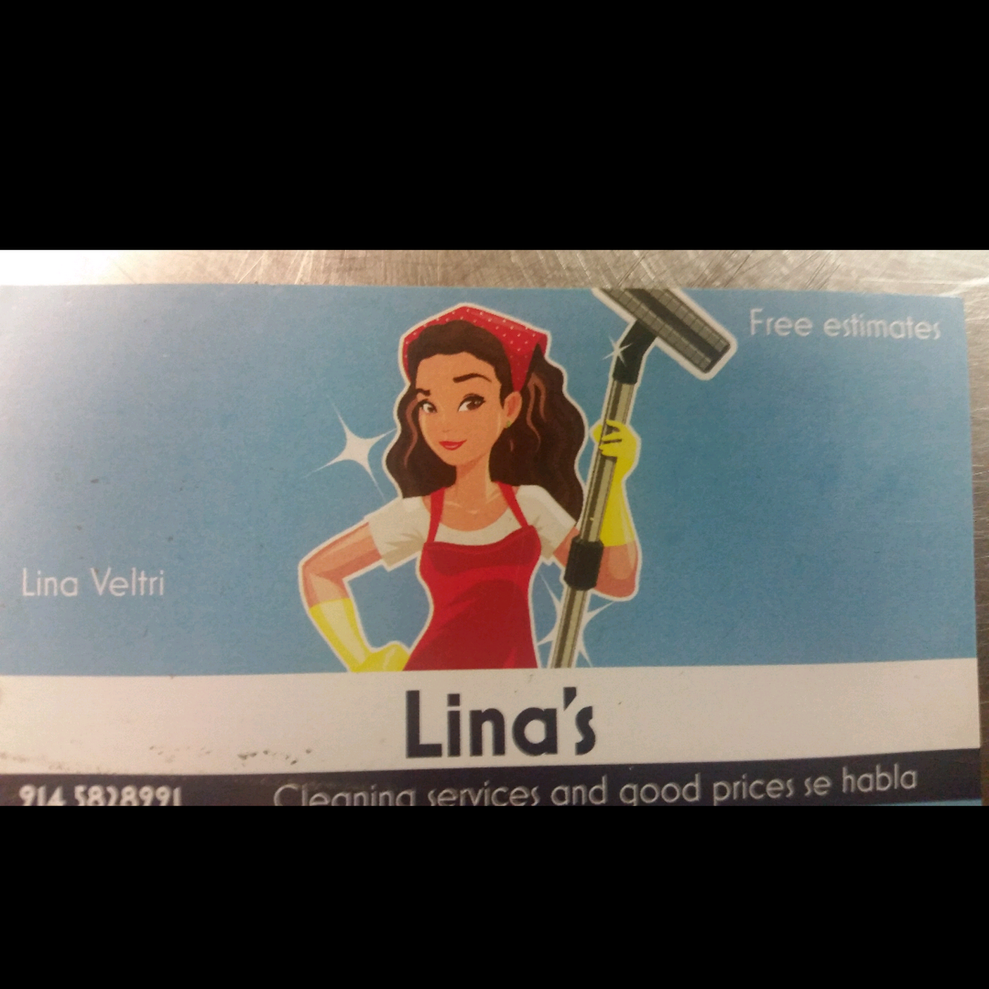 Linas home cleaning service