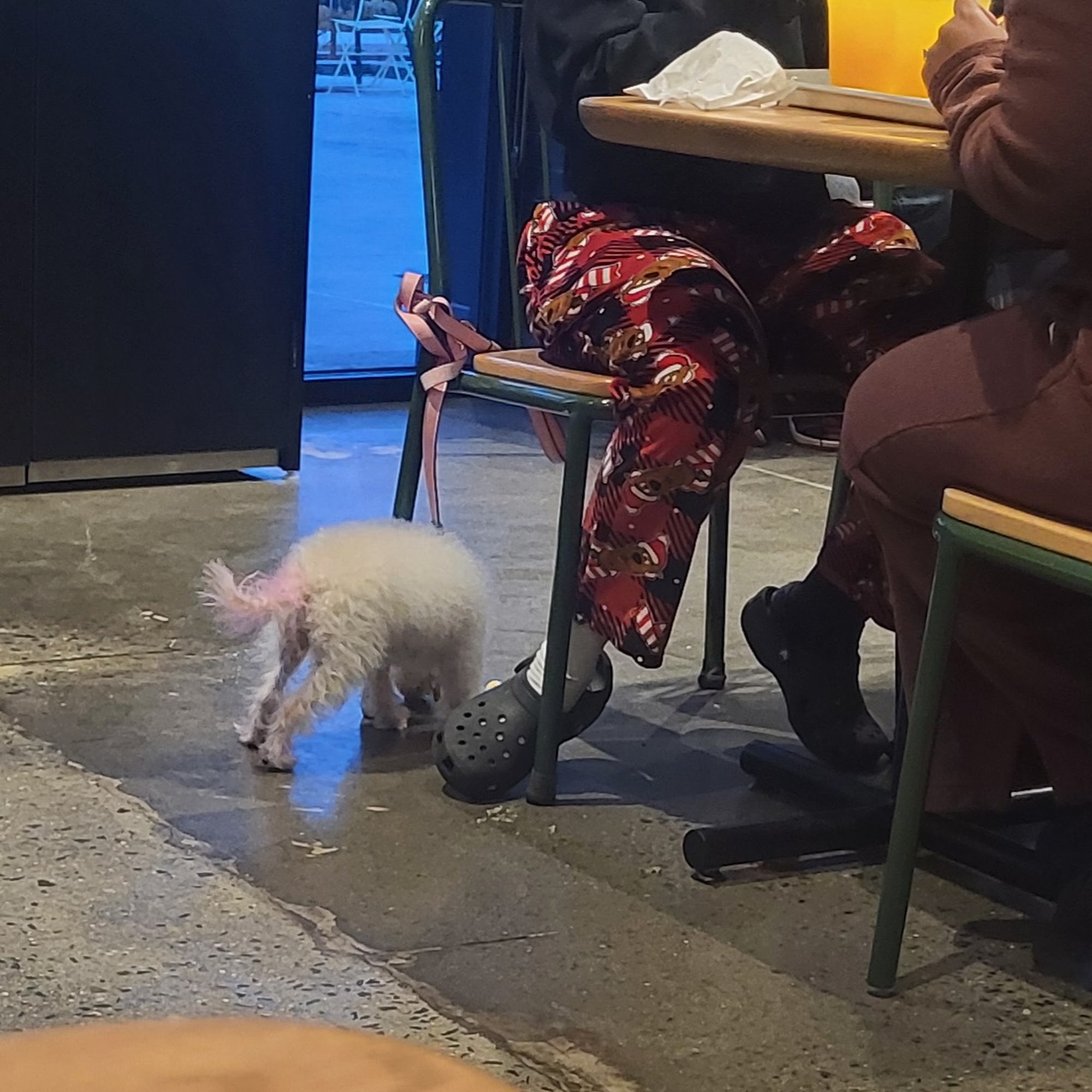 Shake Shack Ridge Hill