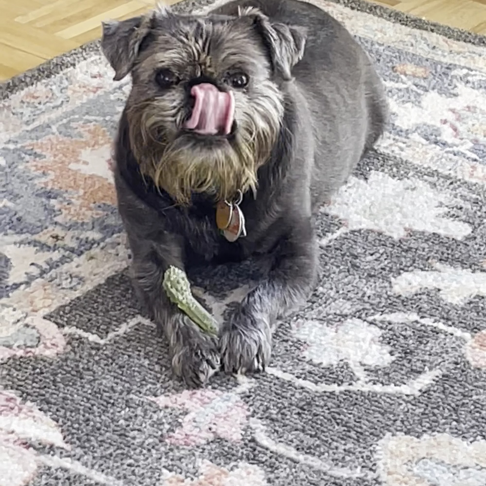 Yorktown Veterinary Associates Yorktown Heights