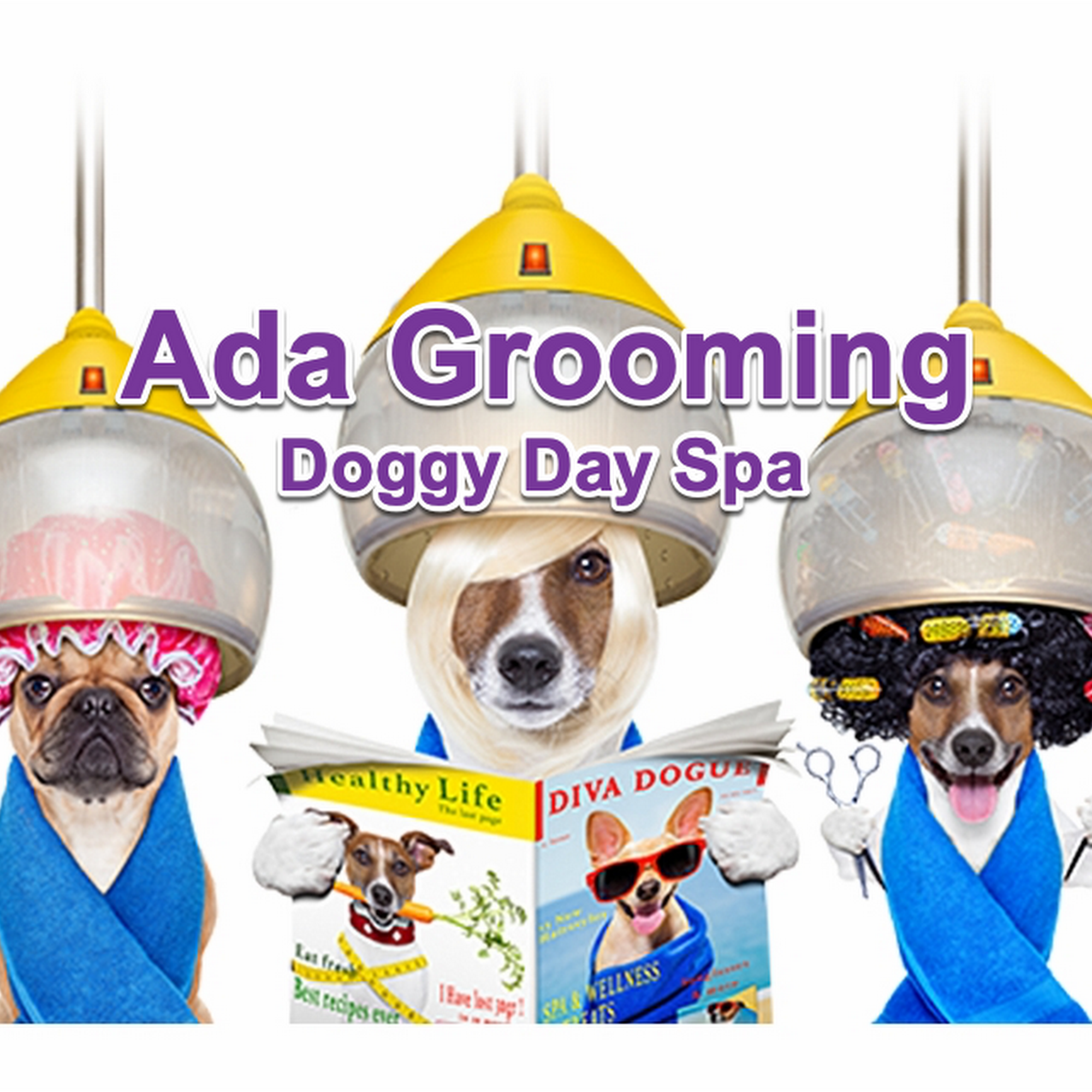 Ada Grooming Ada