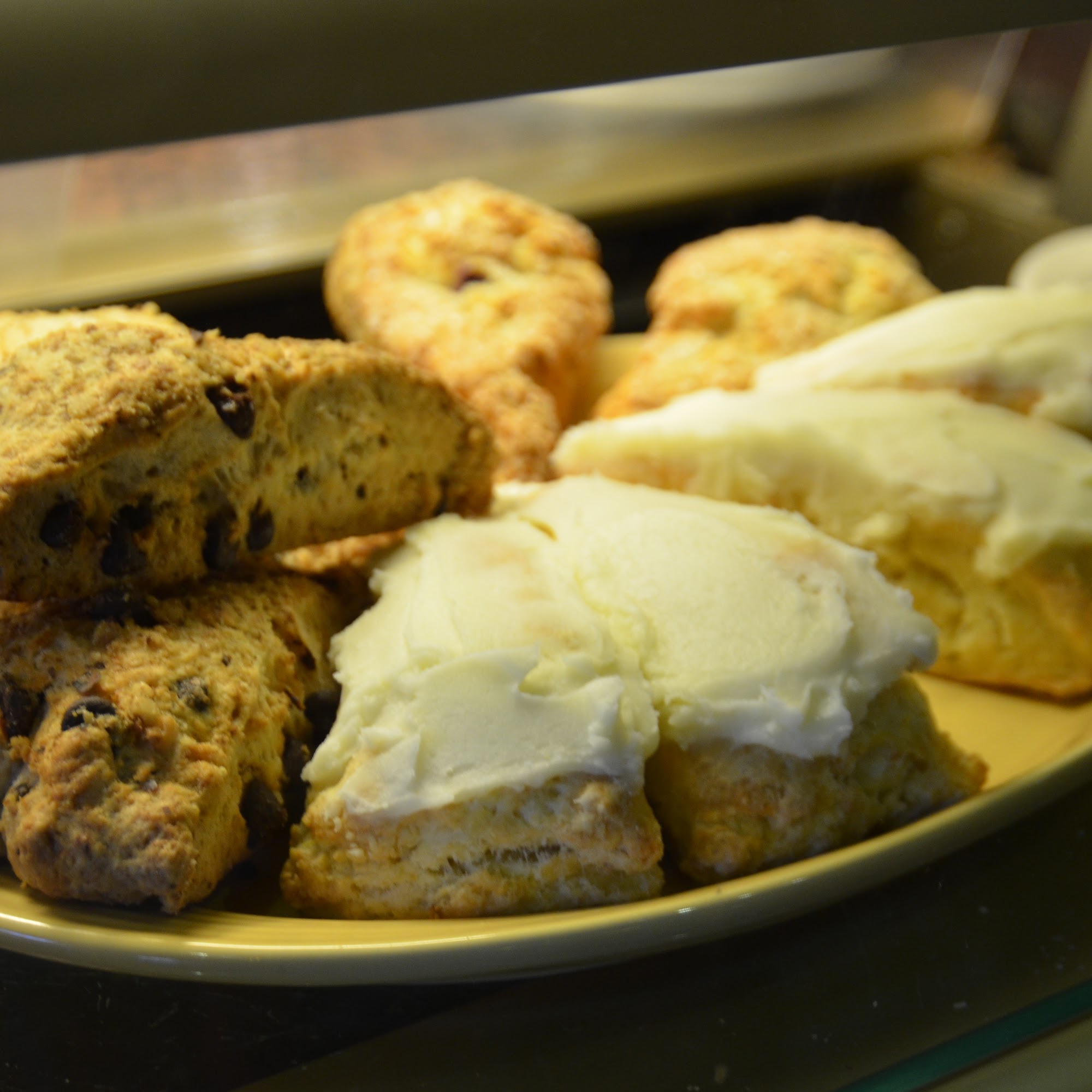 Nervous Dog Coffee Bar, Akron Akron