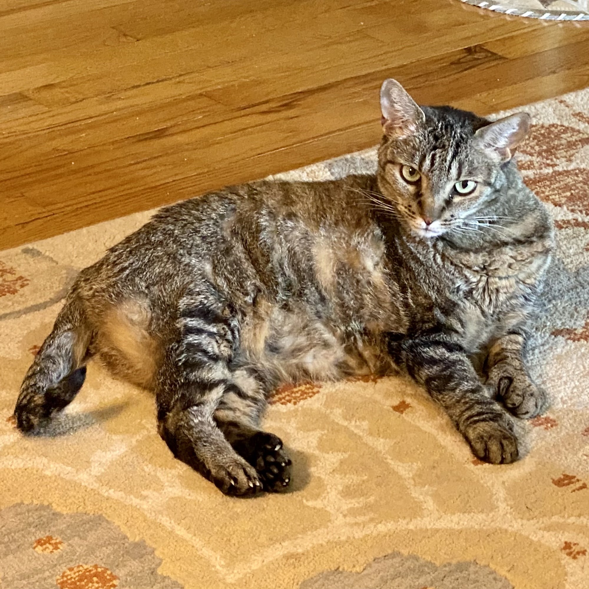 Akron-Peninsula Veterinary Office Akron