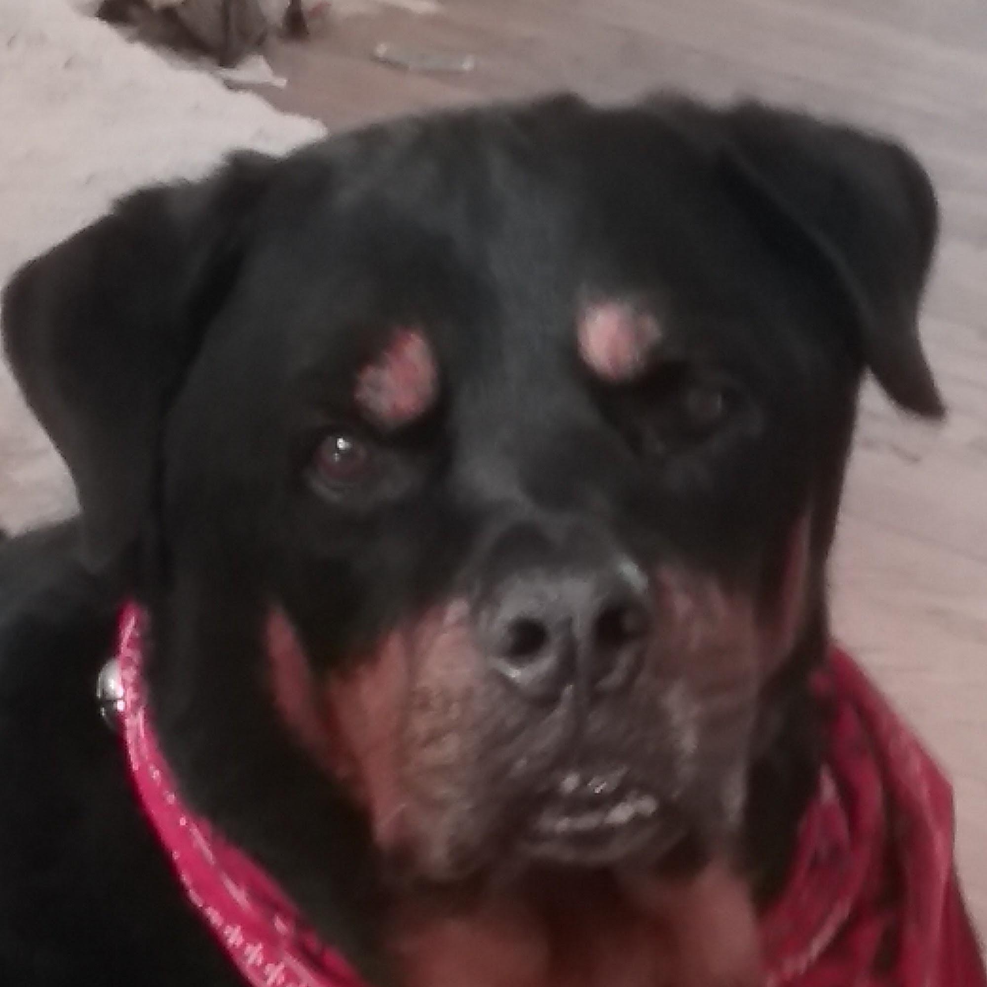 Richard T Slenn Inc Akron