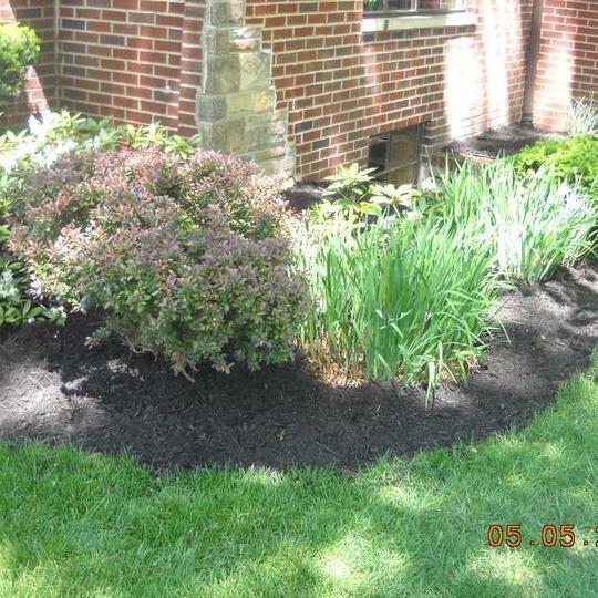 Nicks 'n' Cuts Lawn Maintenance