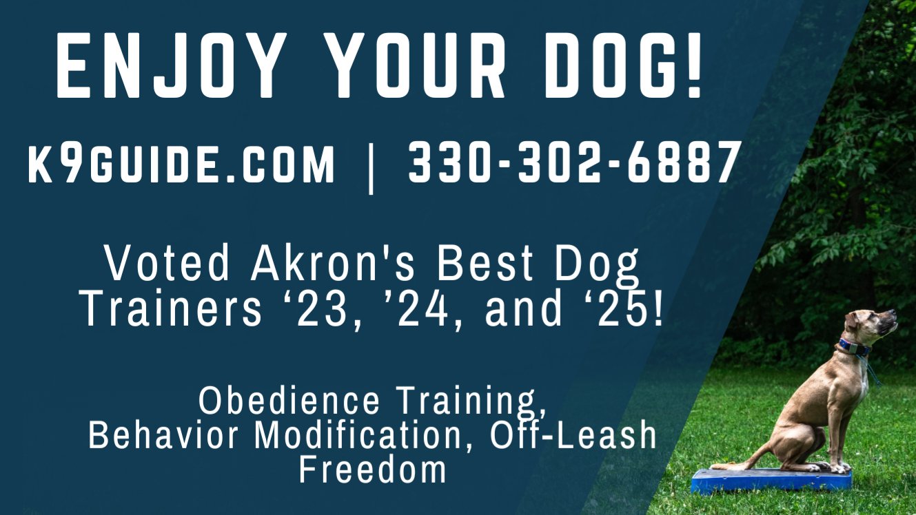 K9 Guide Dog Training Akron