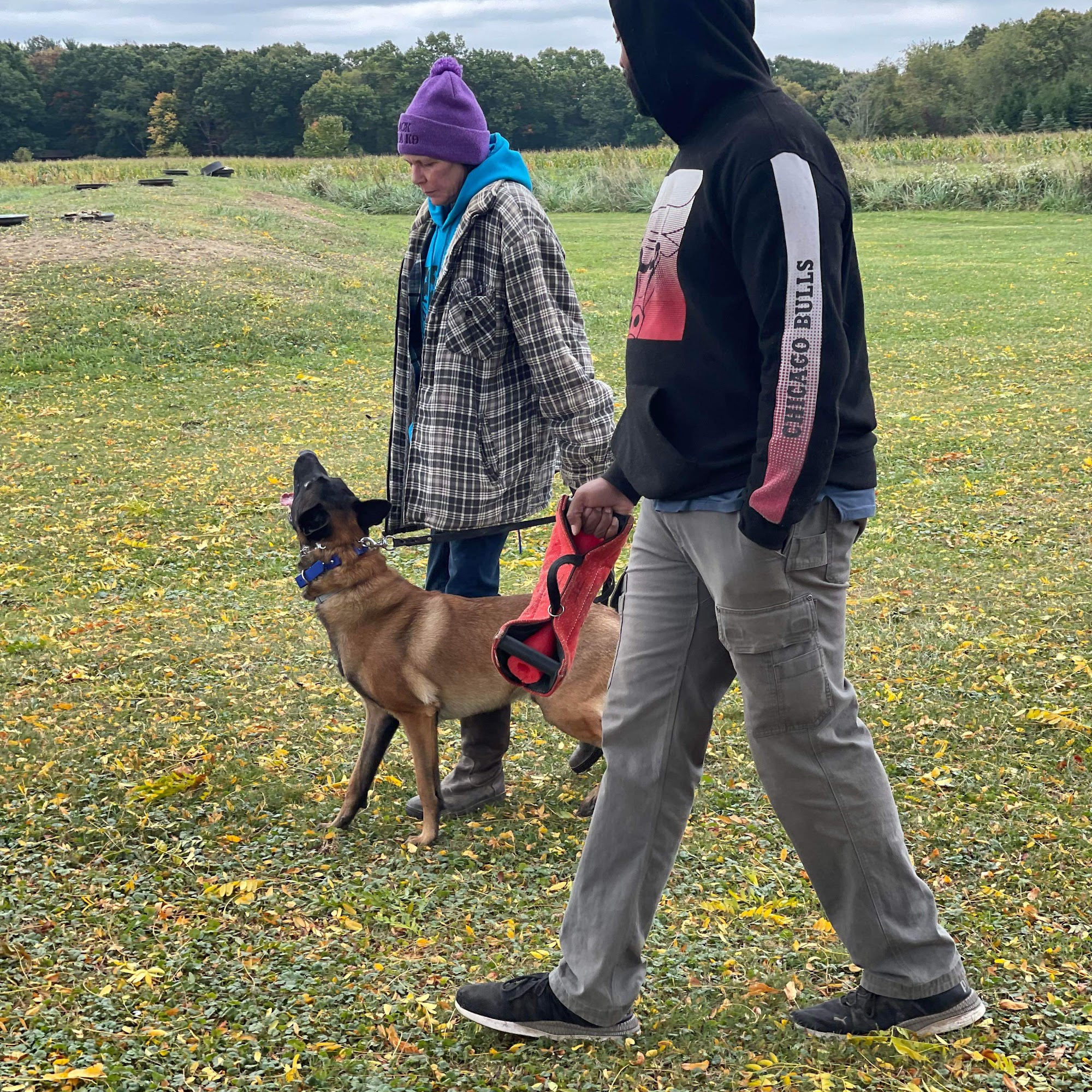 K9 Guide Dog Training Akron