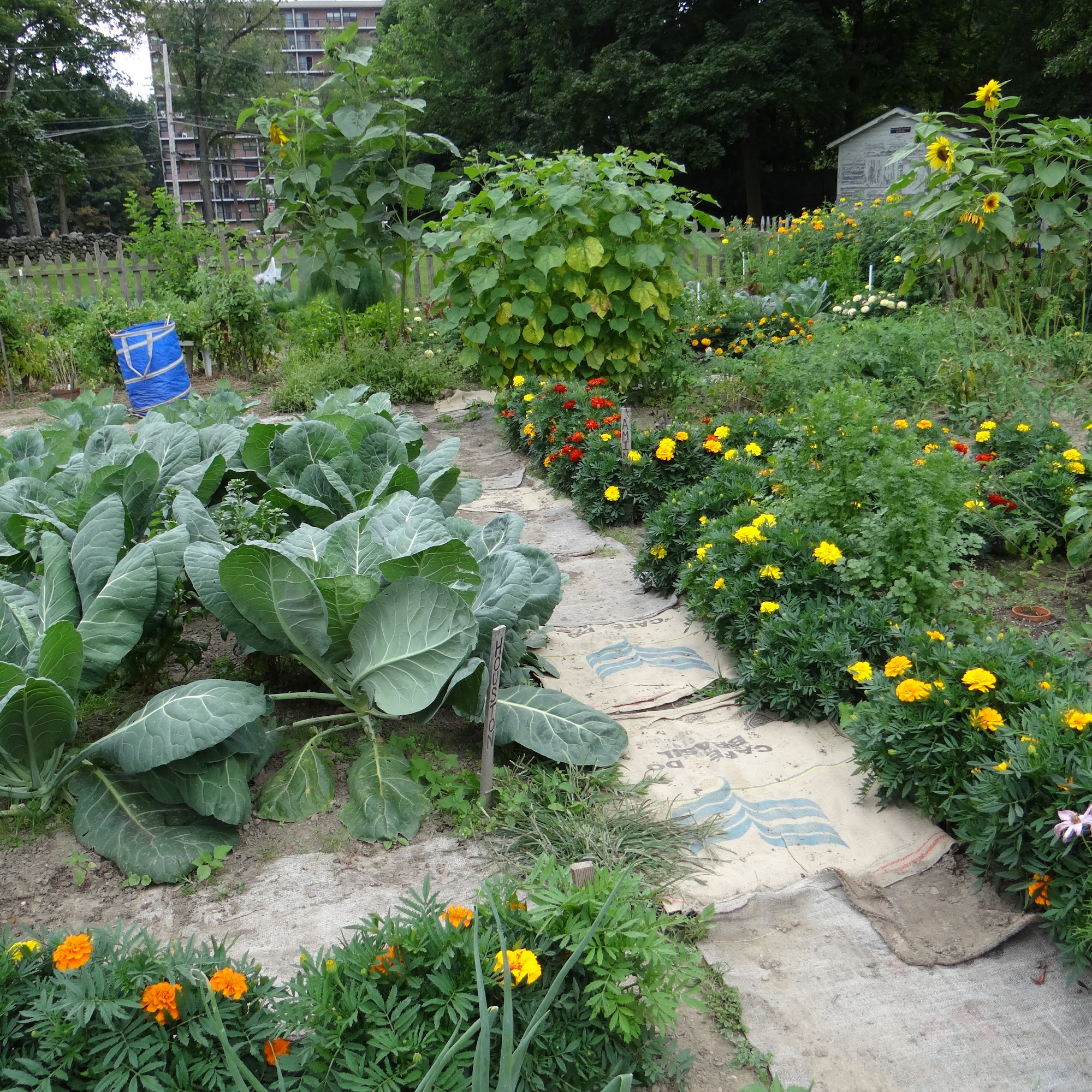 Let's Grow Akron Inc Akron