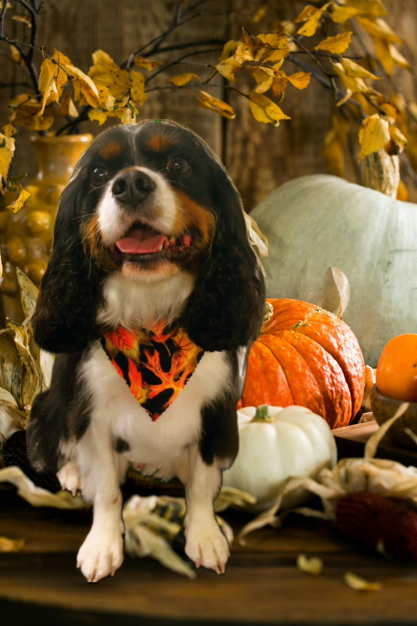 Daisy Dog Salon LLC Amelia