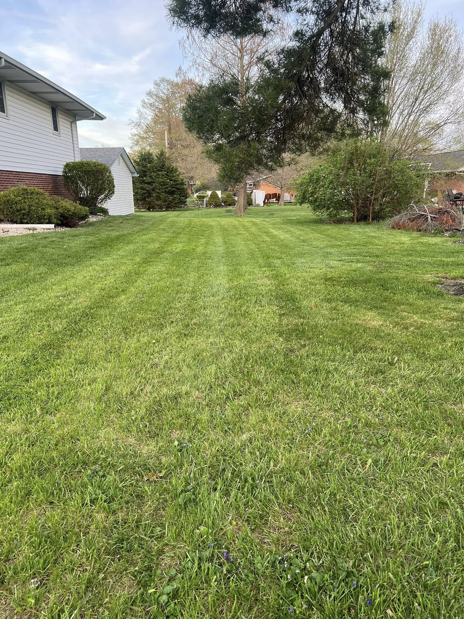Clean Cut Lawn Care