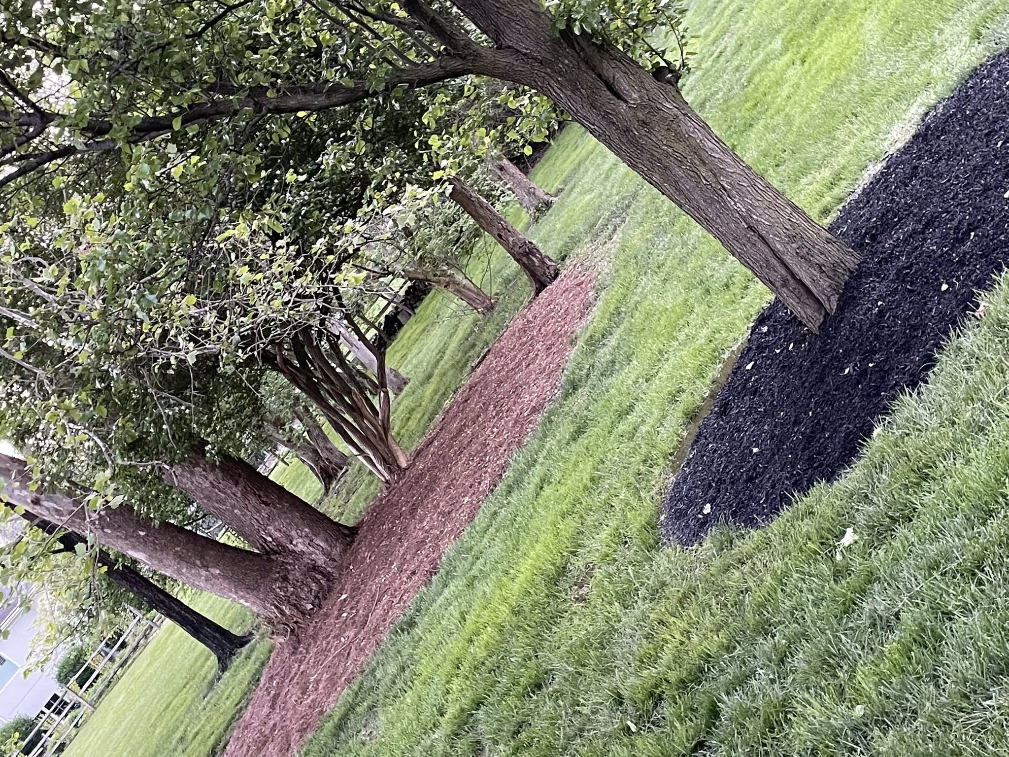 Clean Cut Lawn Care
