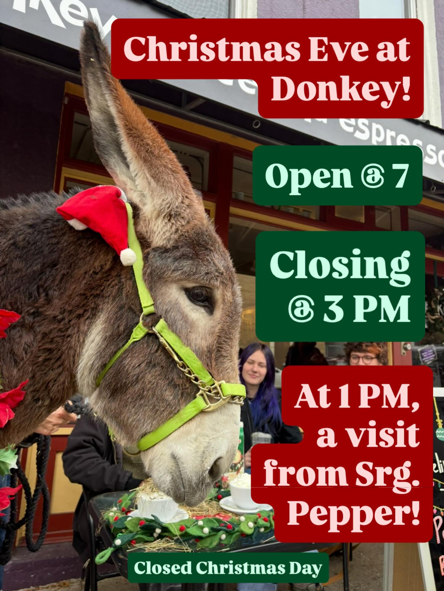 Donkey Coffee Athens