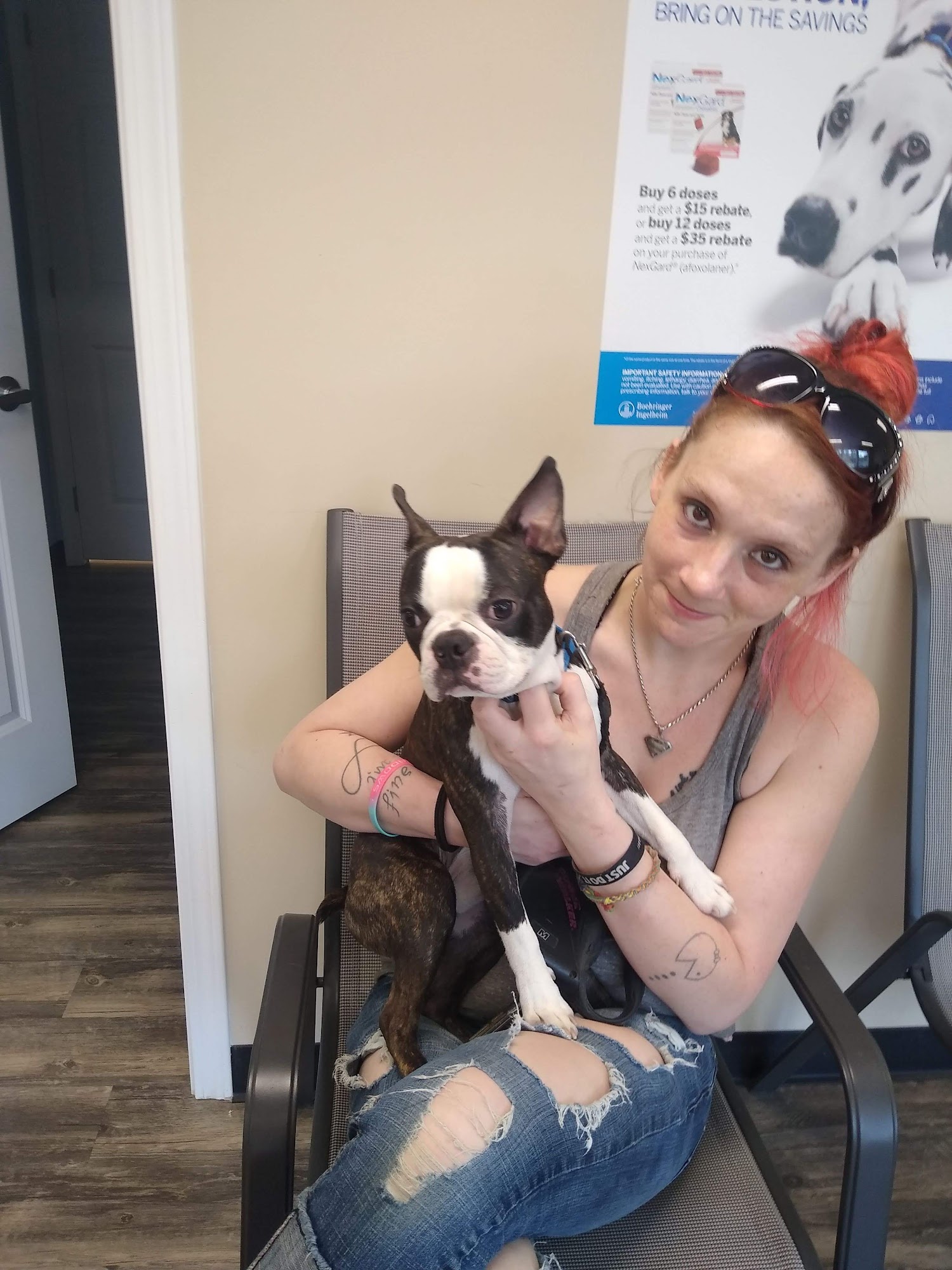 Ohio Valley Animal Clinic of Athens Athens