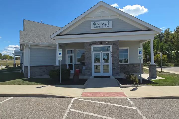 Aurora Veterinary Clinic Aurora
